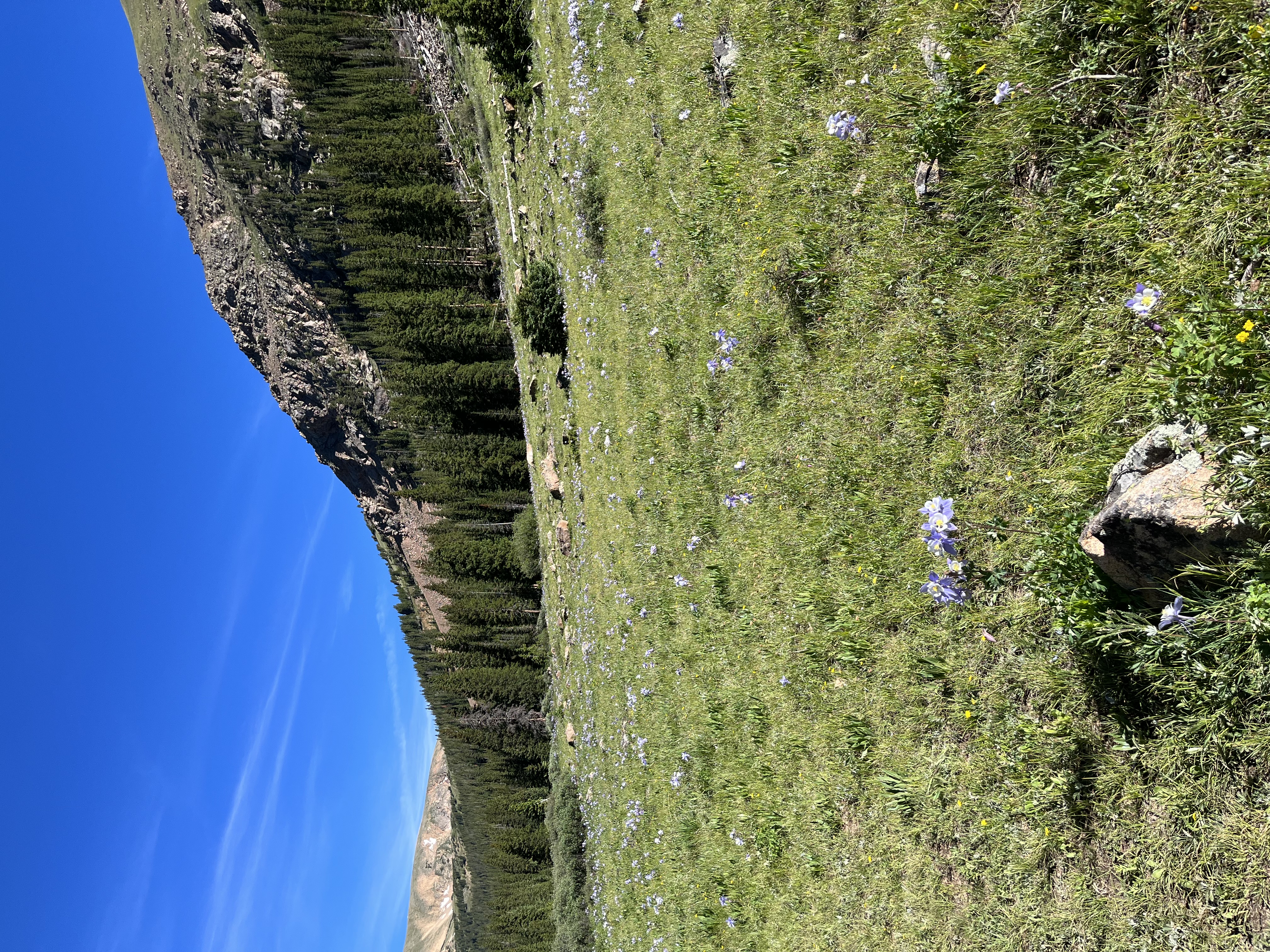Herman Gulch Trail