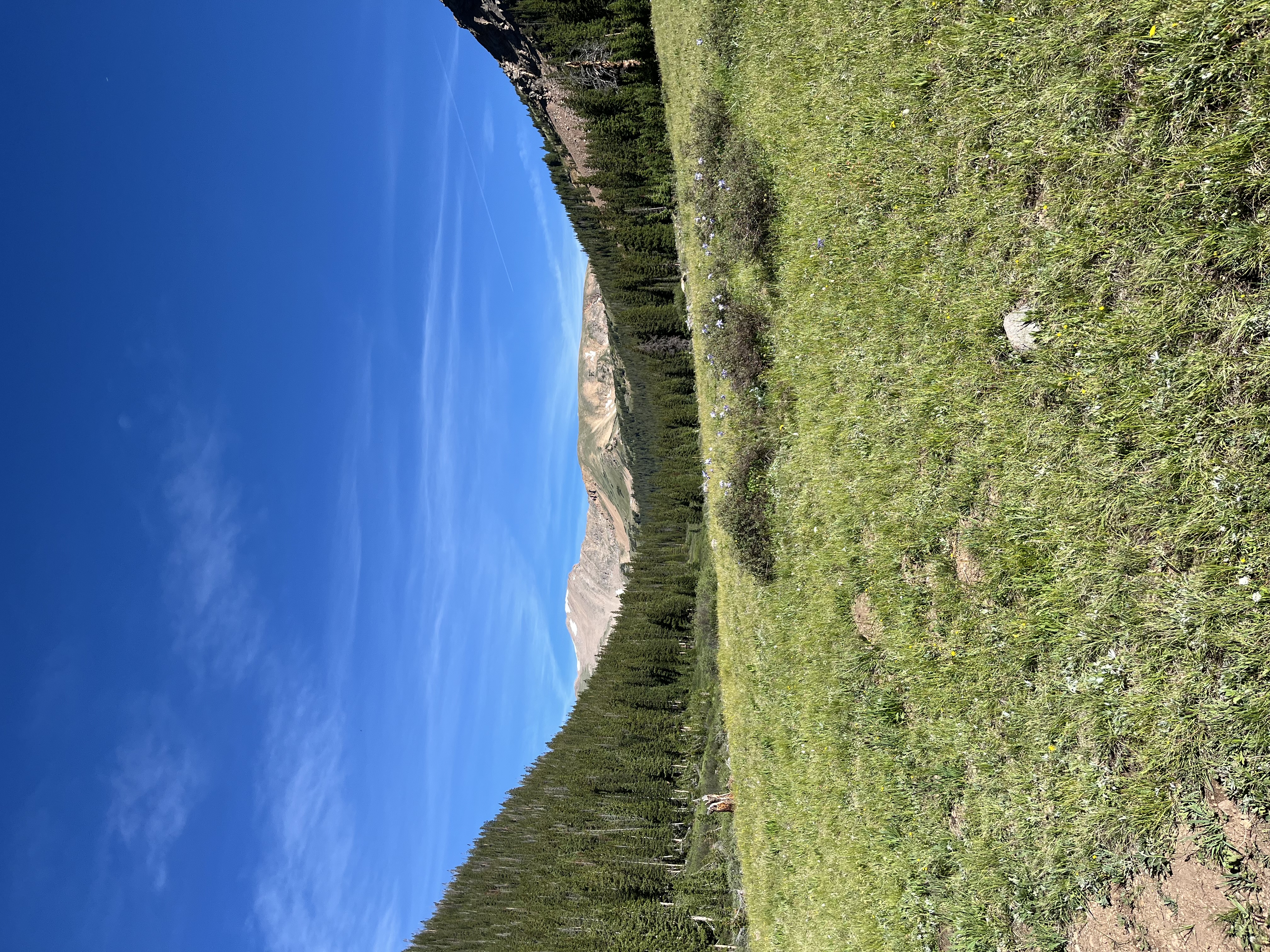 Herman Gulch Trail
