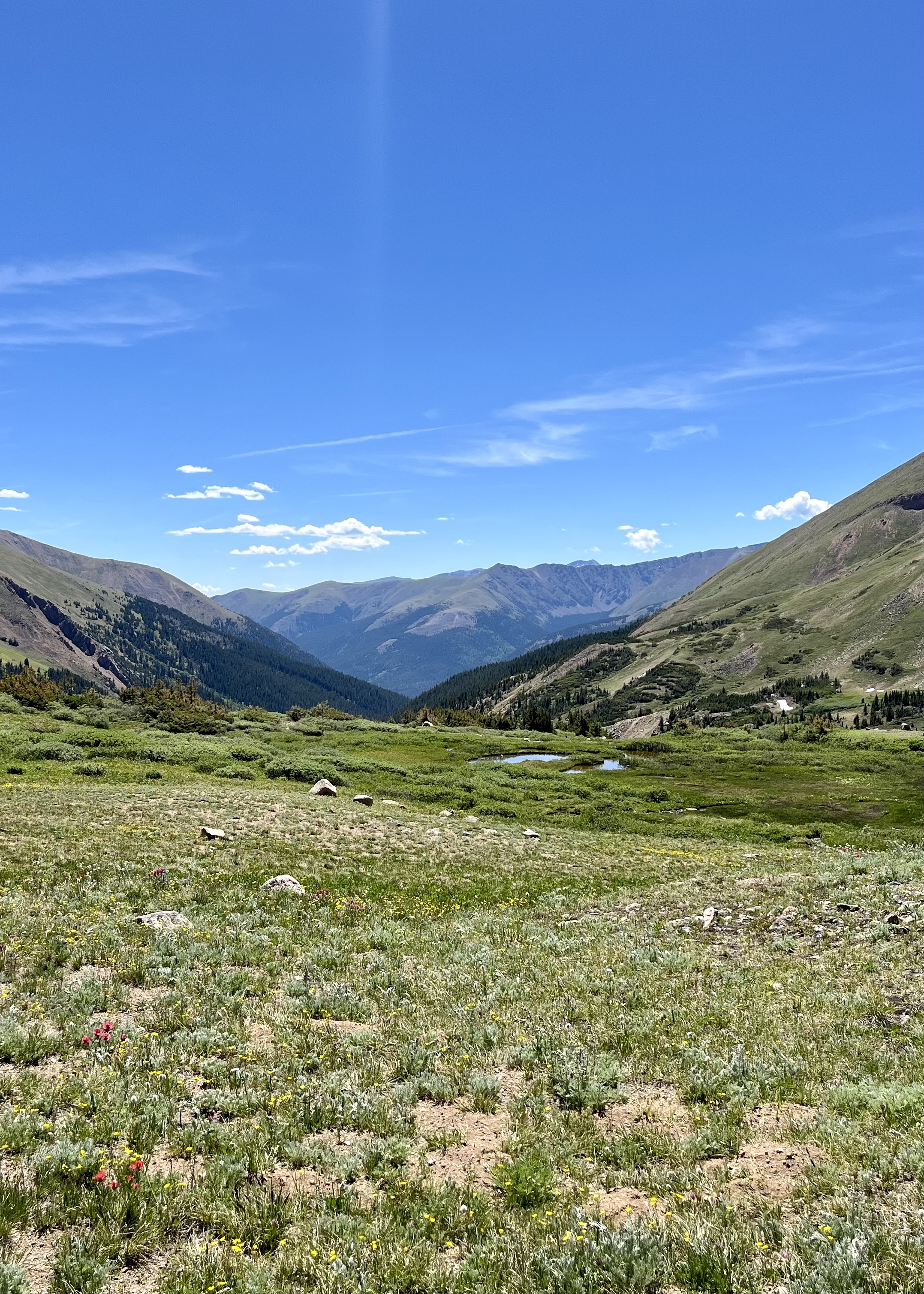 Herman Gulch Trail