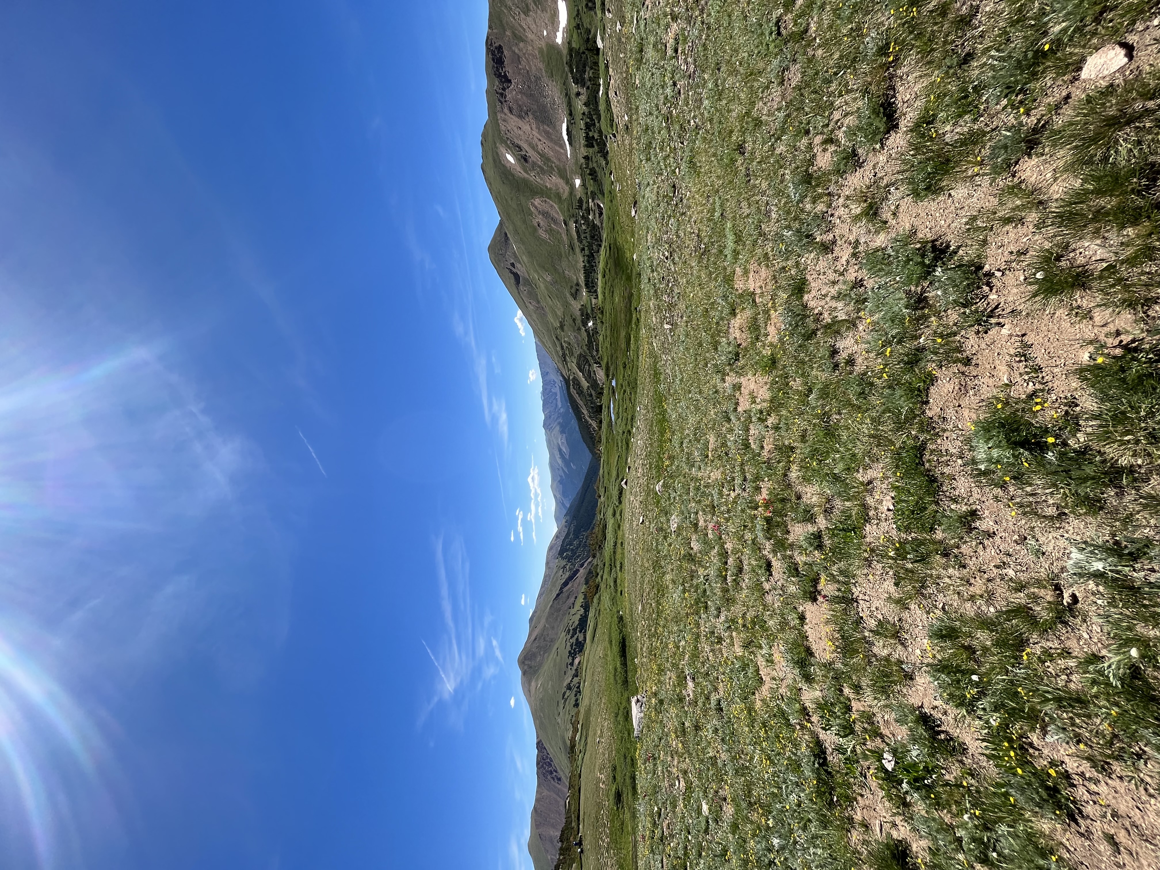 Herman Gulch Trail