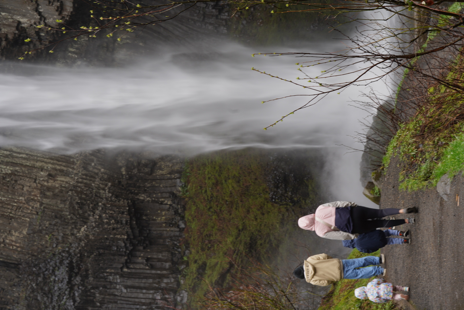 Latourell Falls Loop