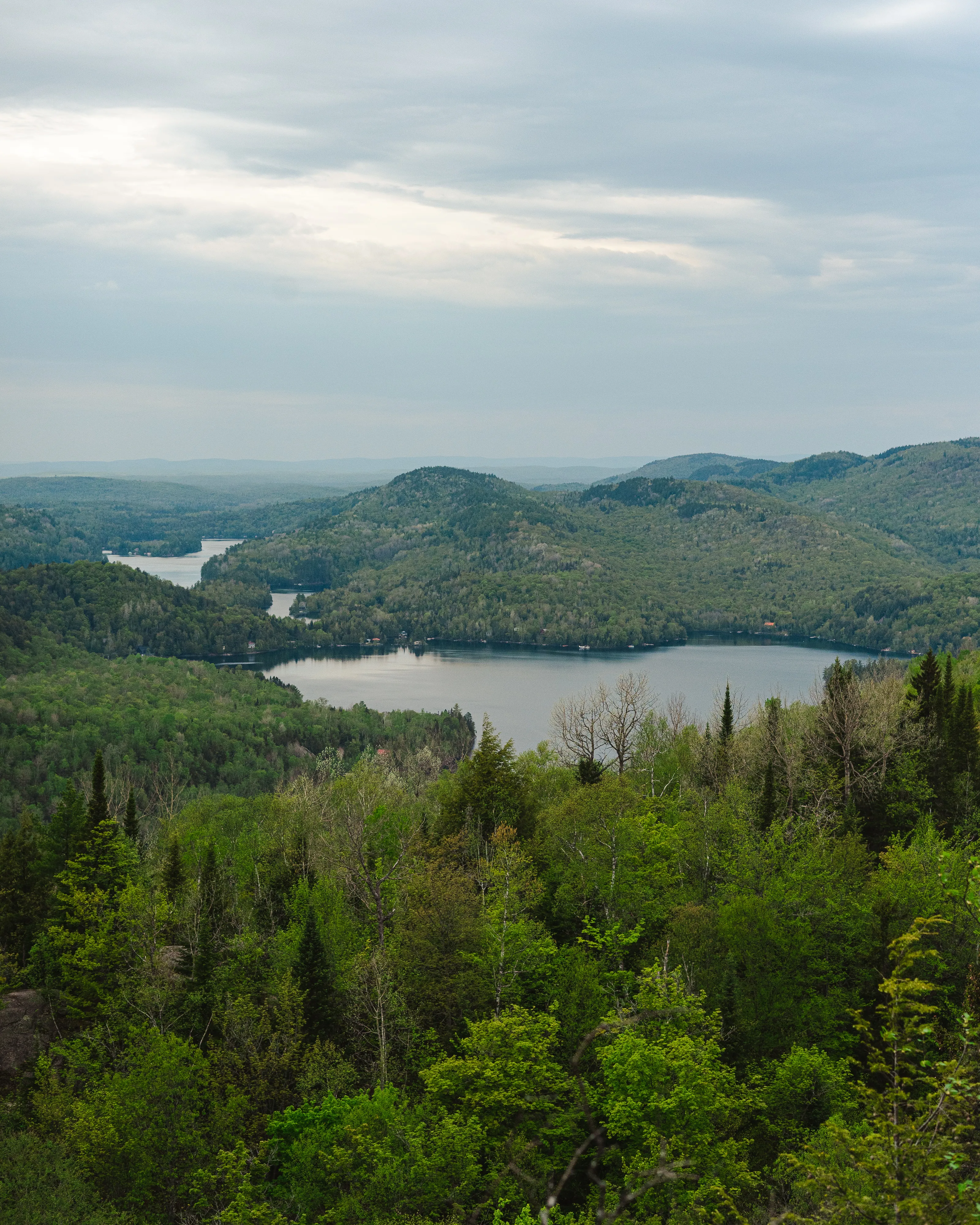 Green Mountain Trail
