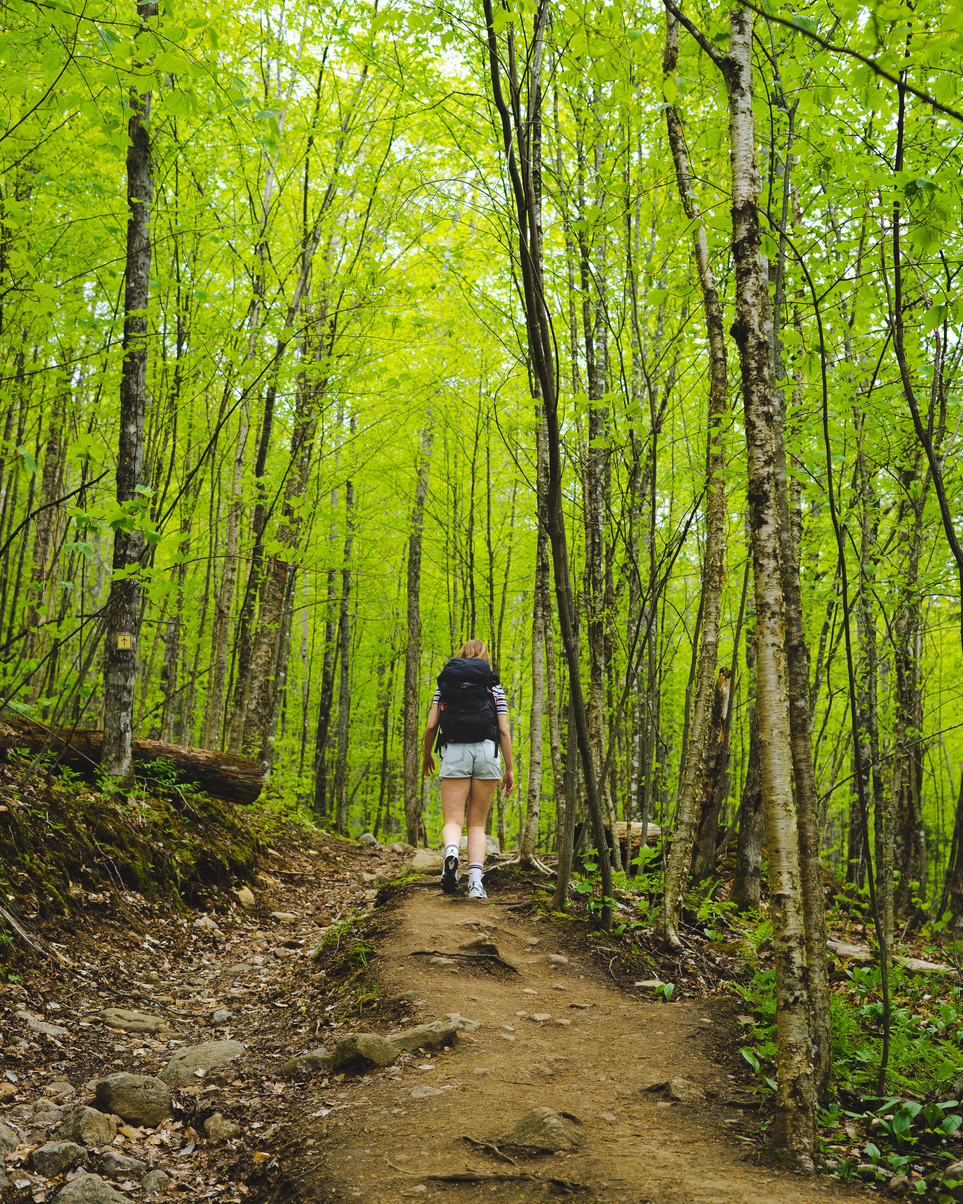 Green Mountain Trail