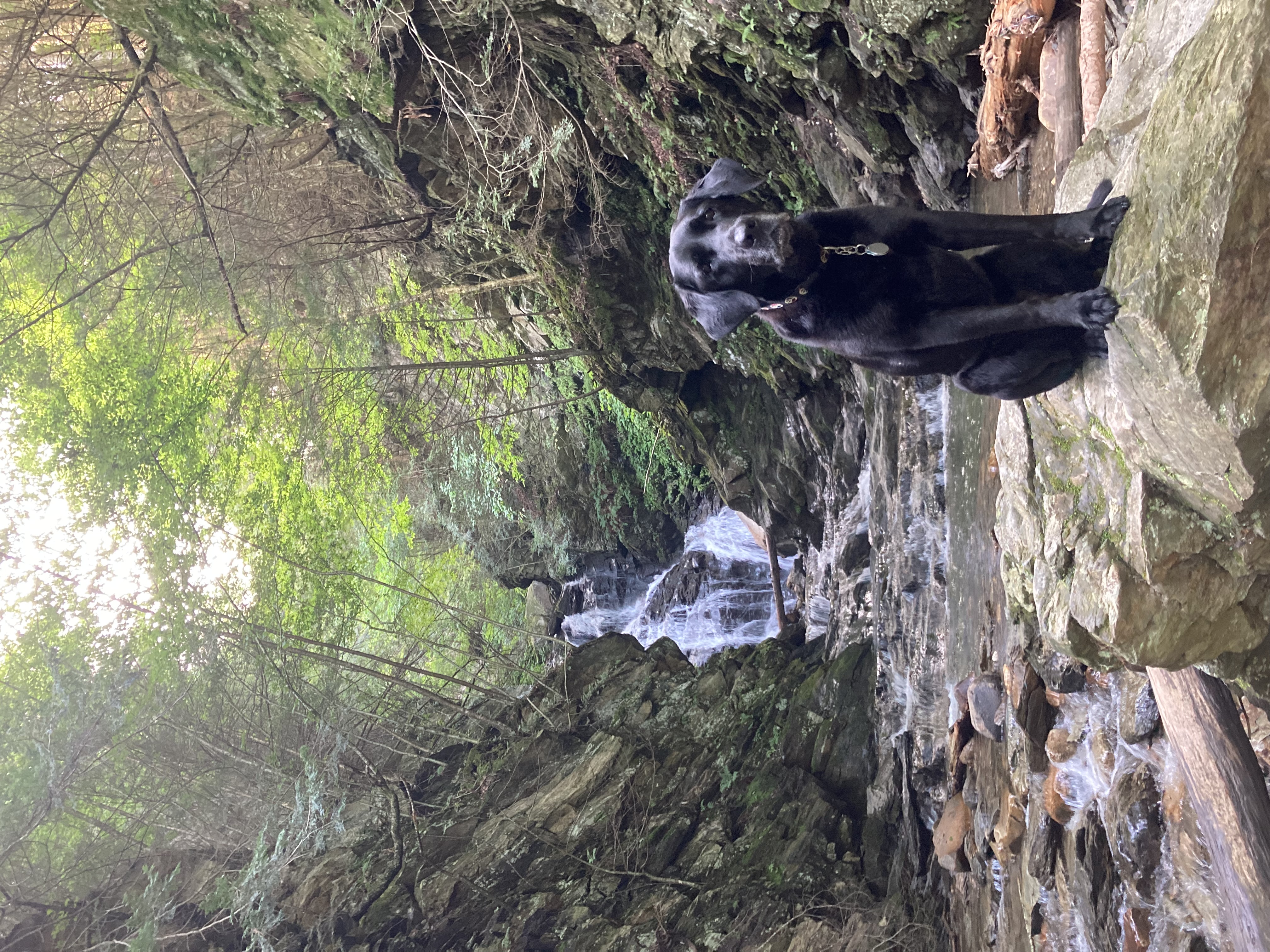 The Cascades Trail