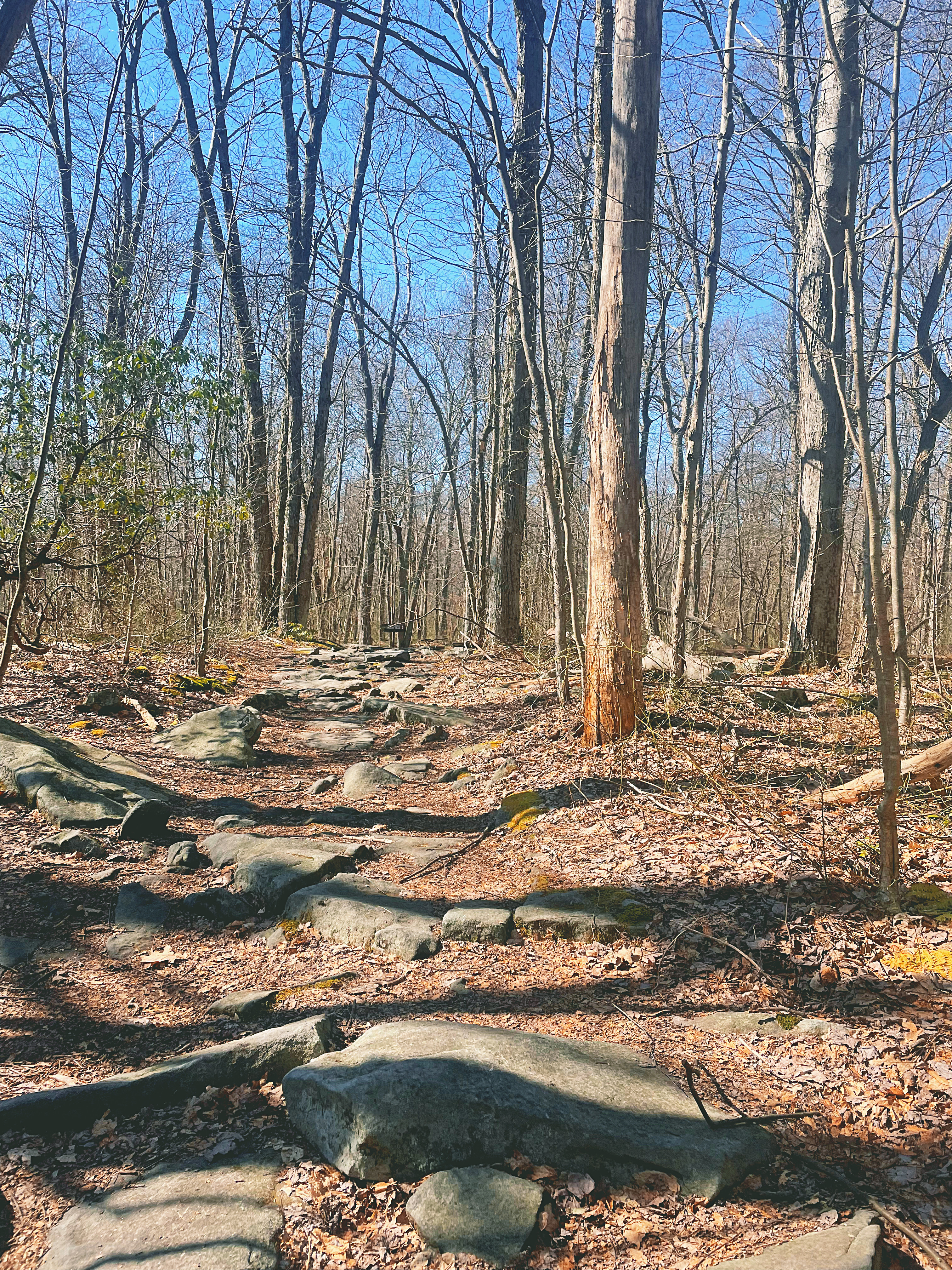 Hike to Wolf Rocks