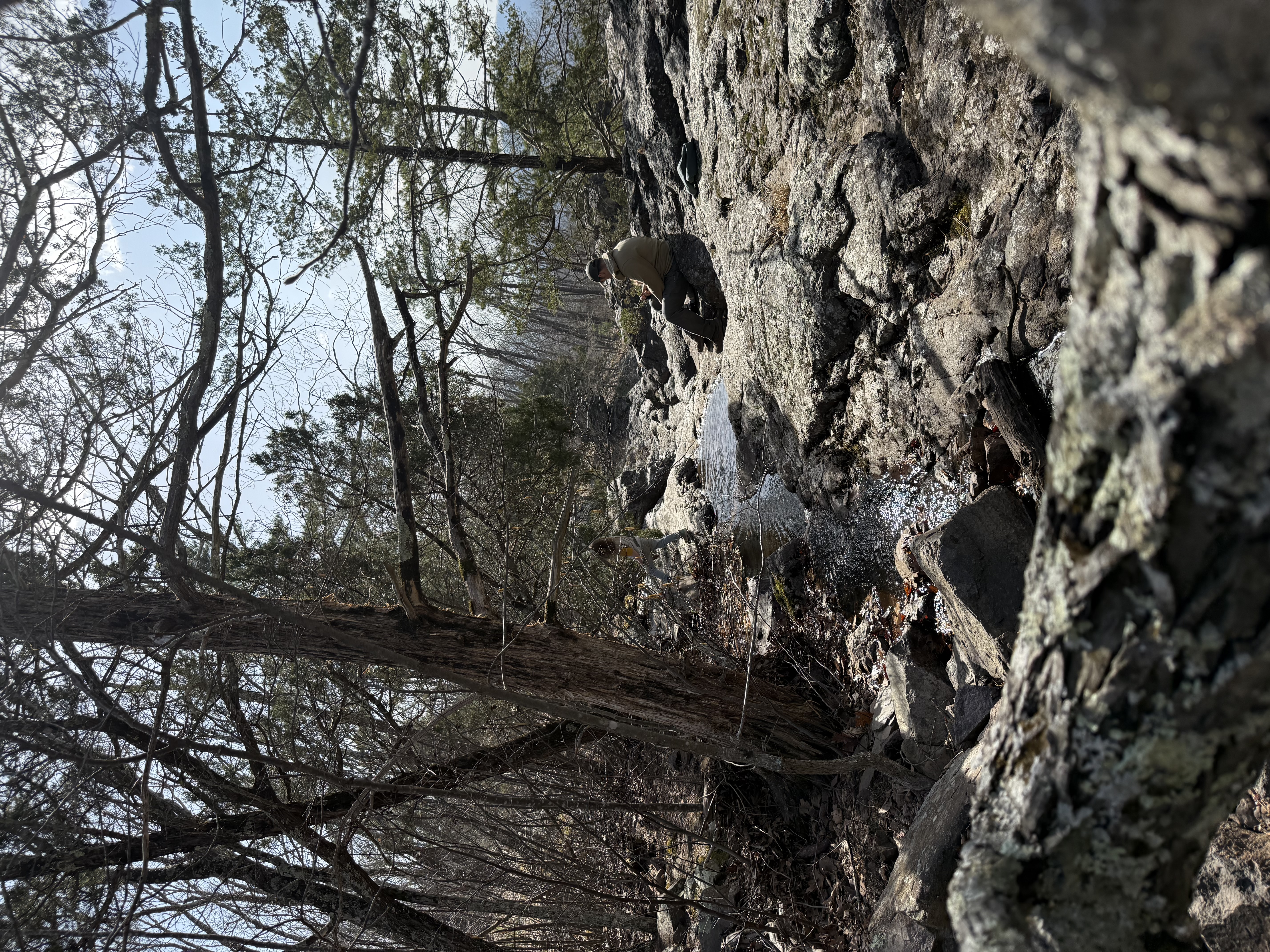 Hike Mina Sauk Falls Trail