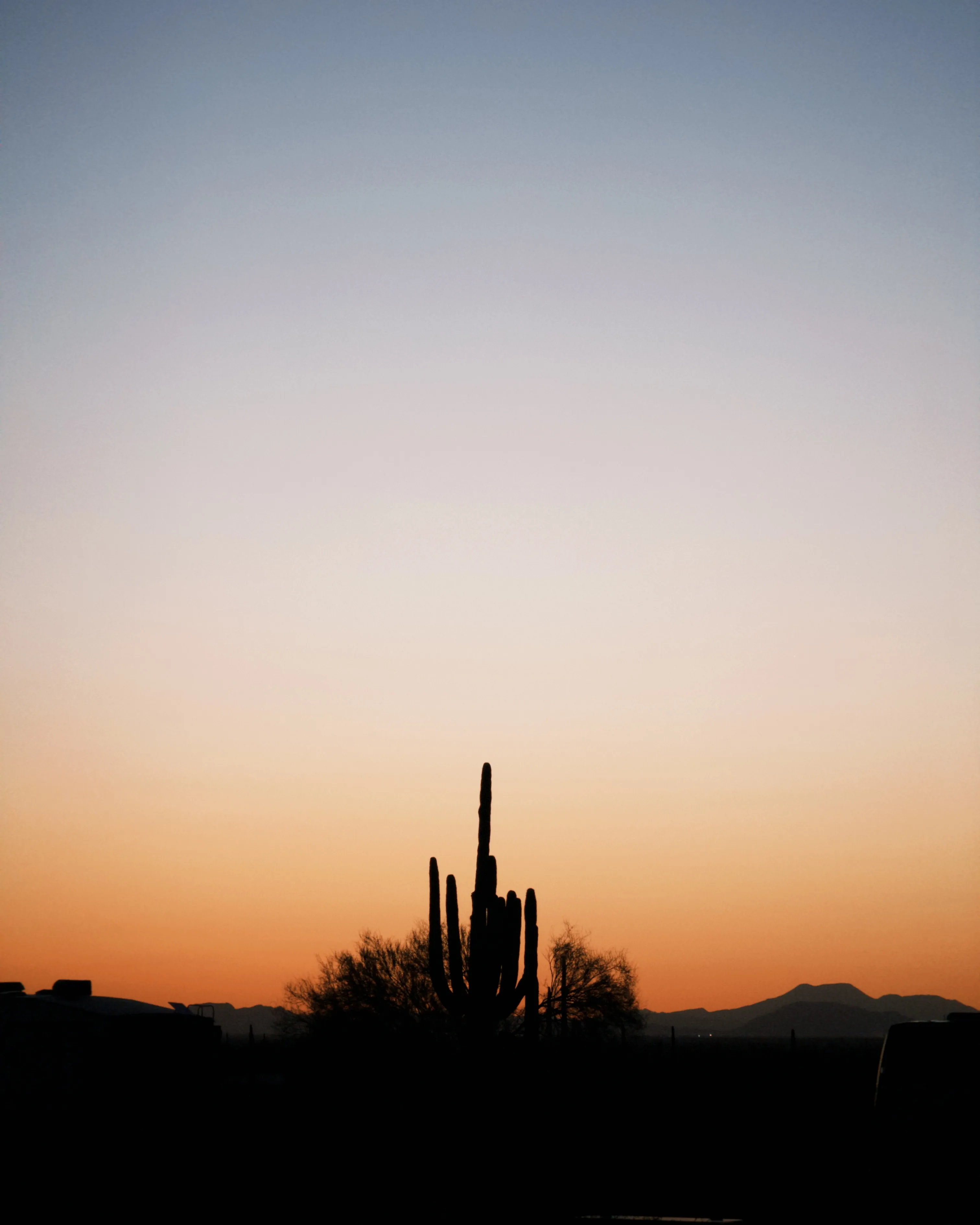 Camp at Picacho Peak State Park