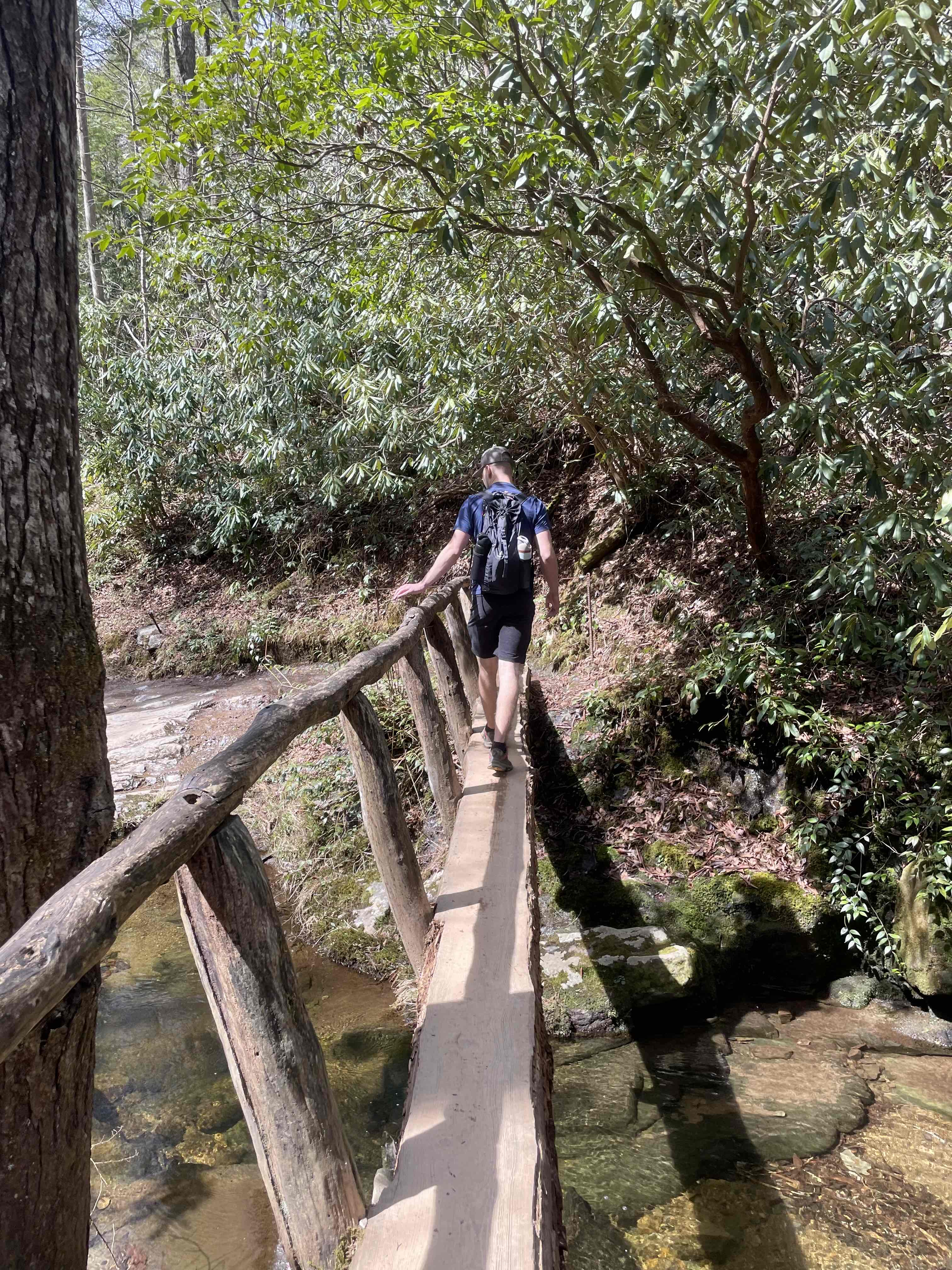 Abrams Falls Trail