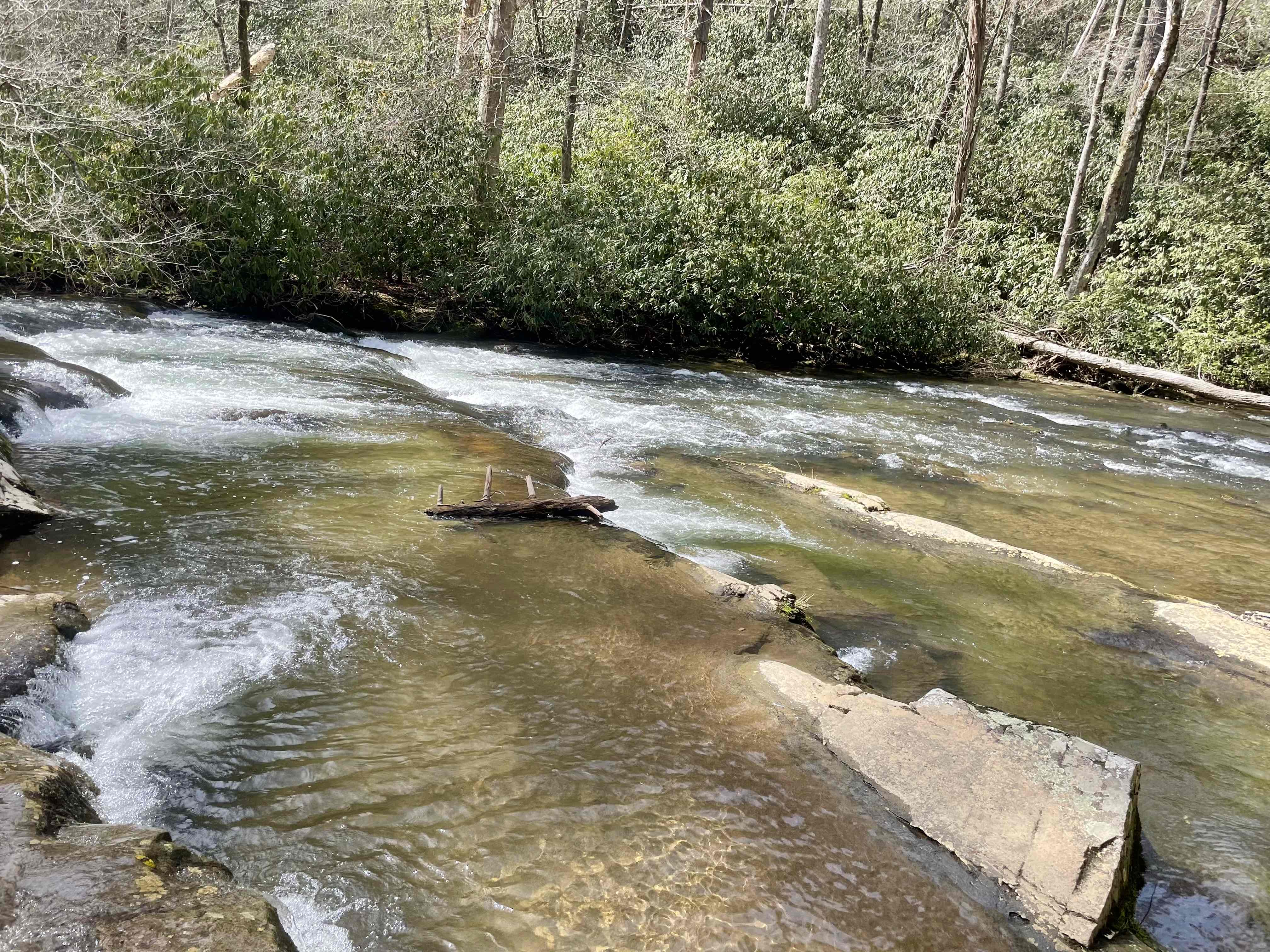 Abrams Falls Trail