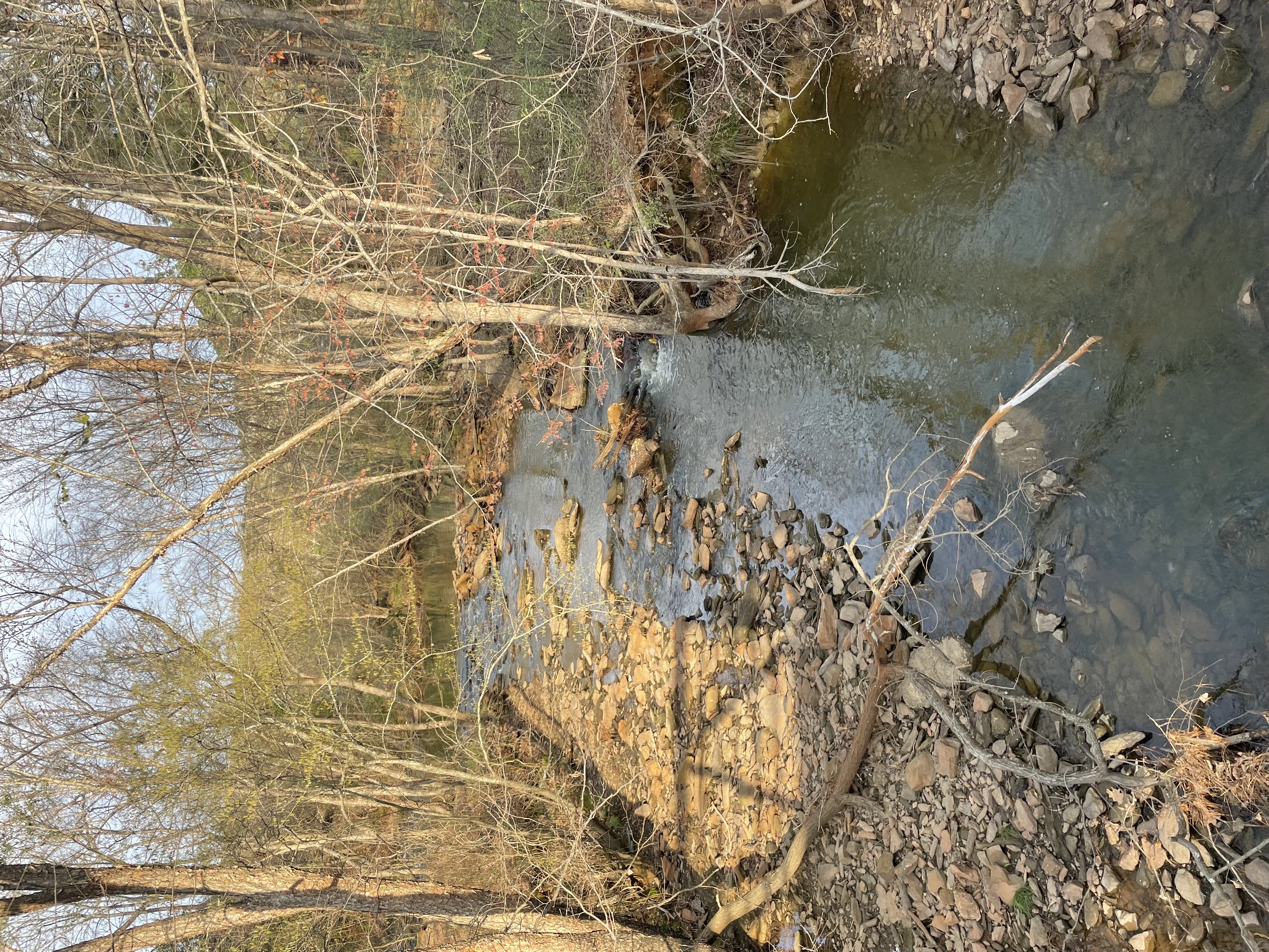 Lake Johnson Trail