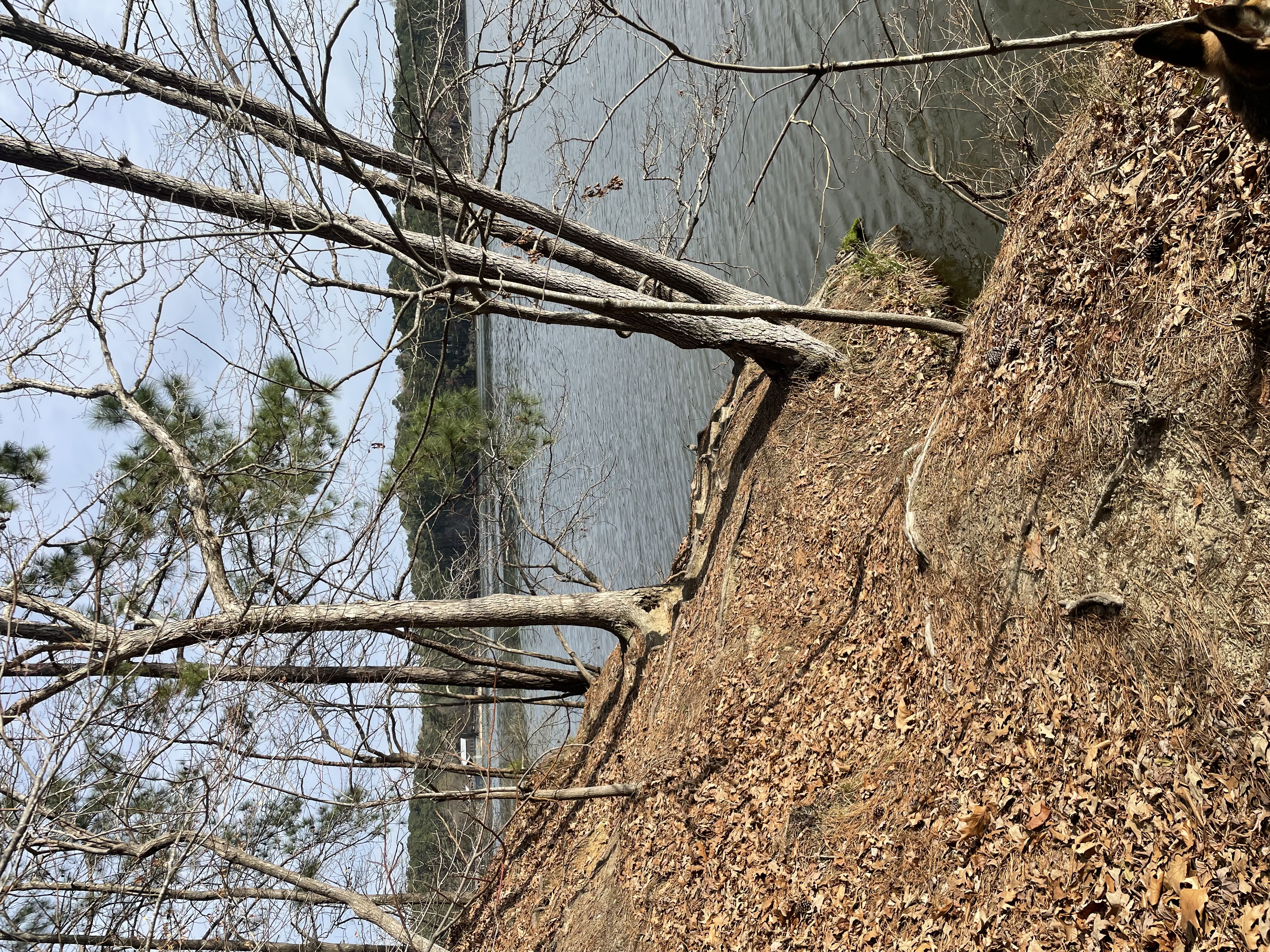 Lake Johnson Trail