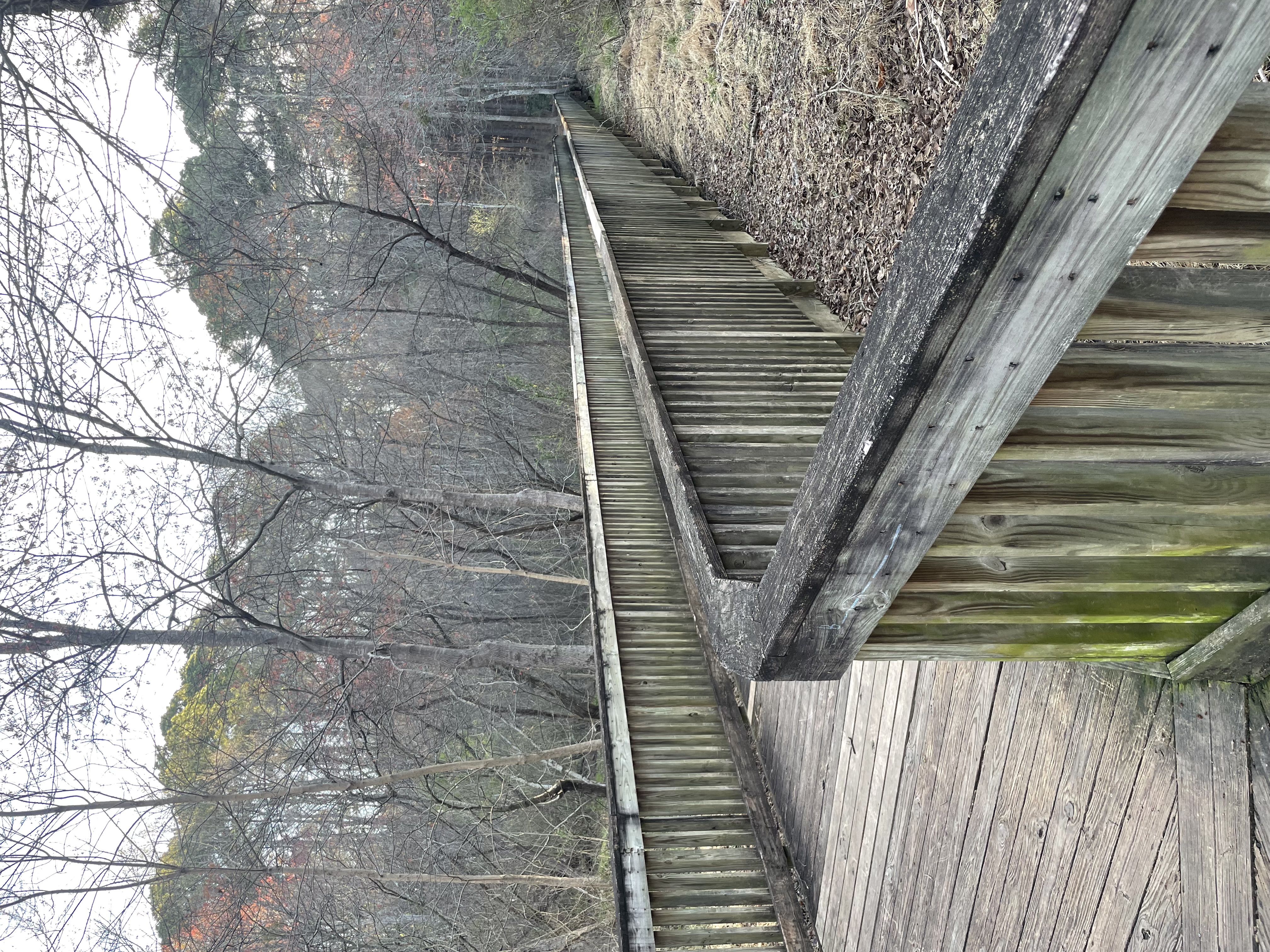 Lake Johnson Trail