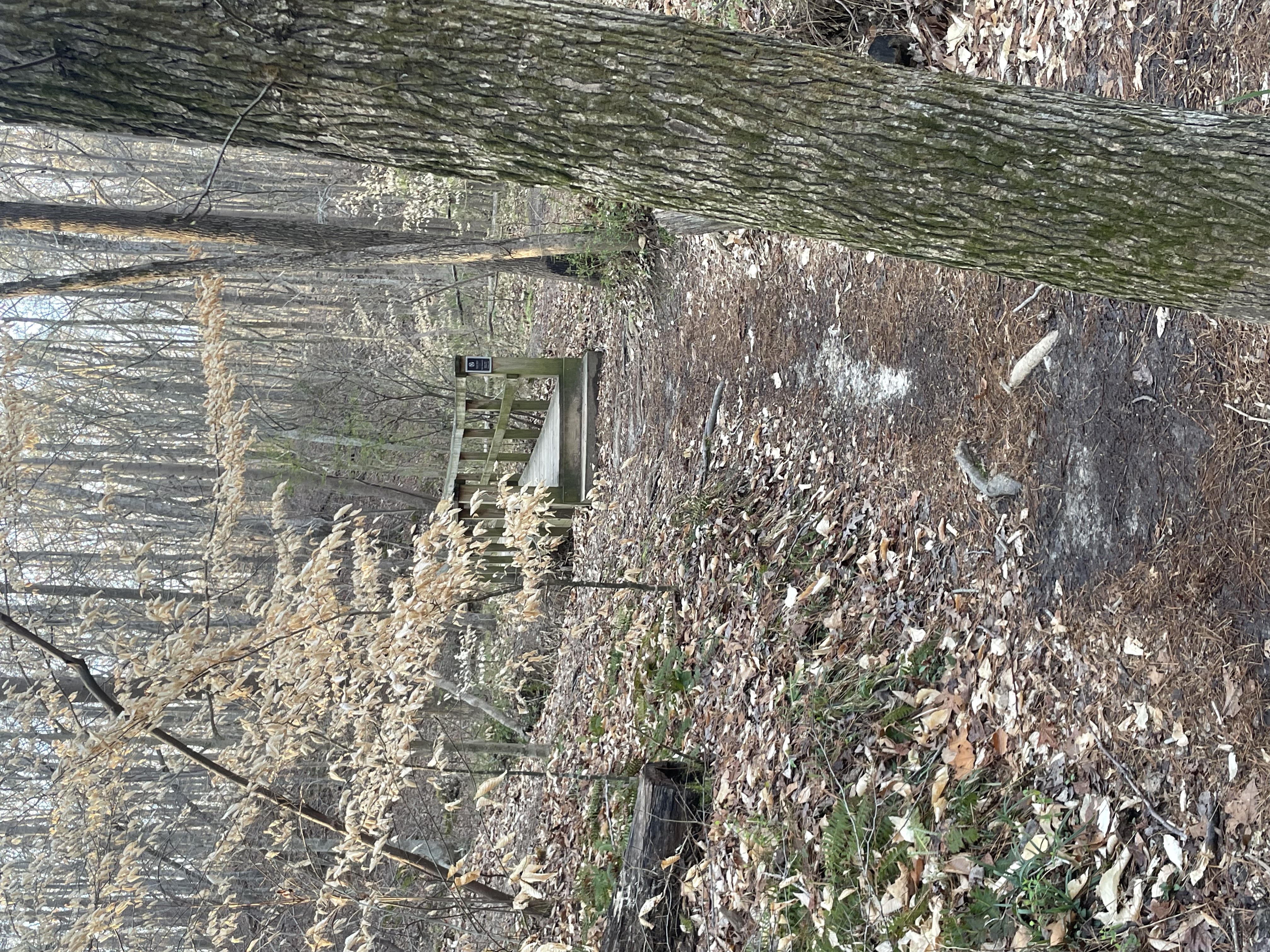Lake Johnson Trail