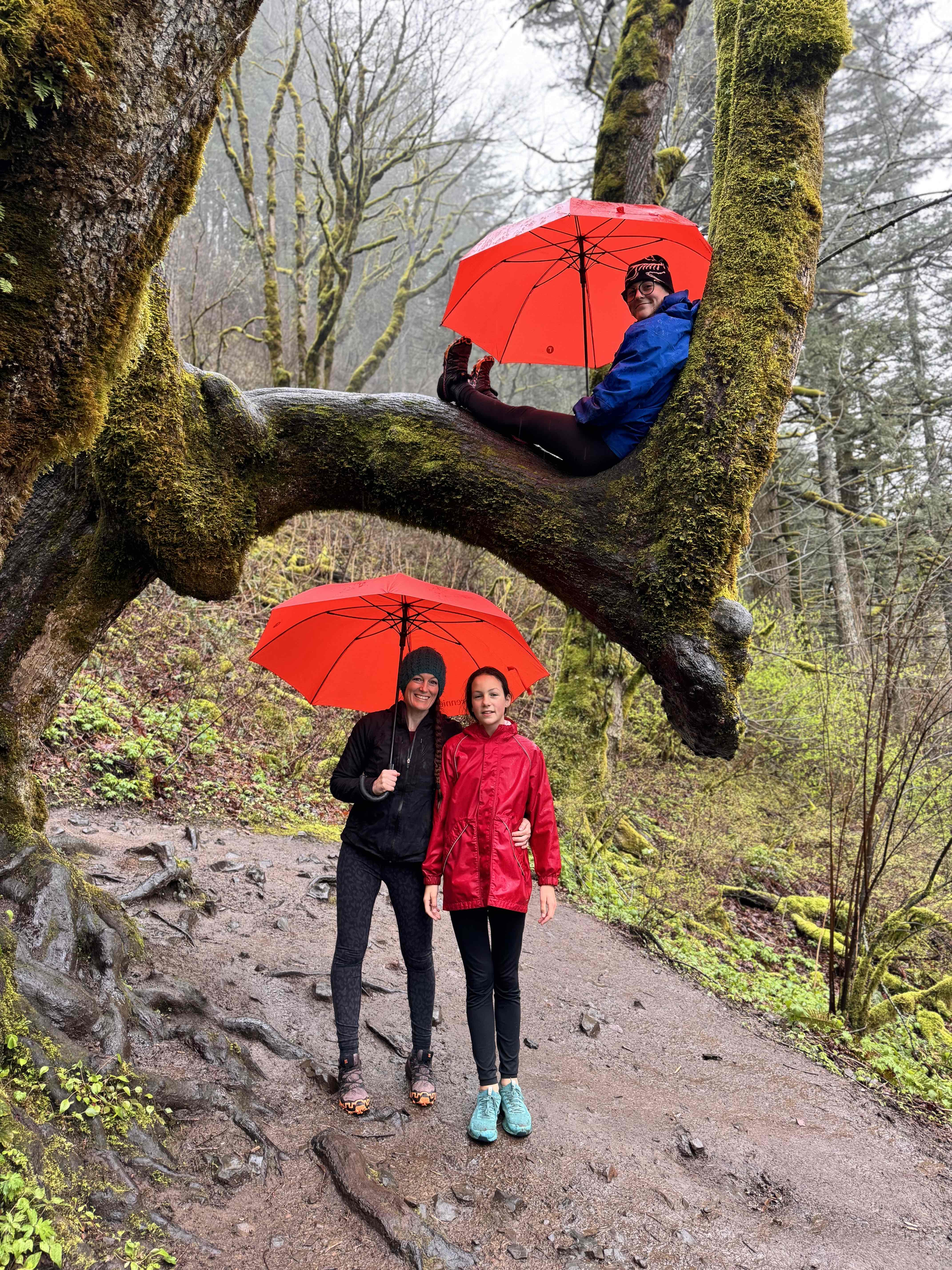 Latourell Falls Loop