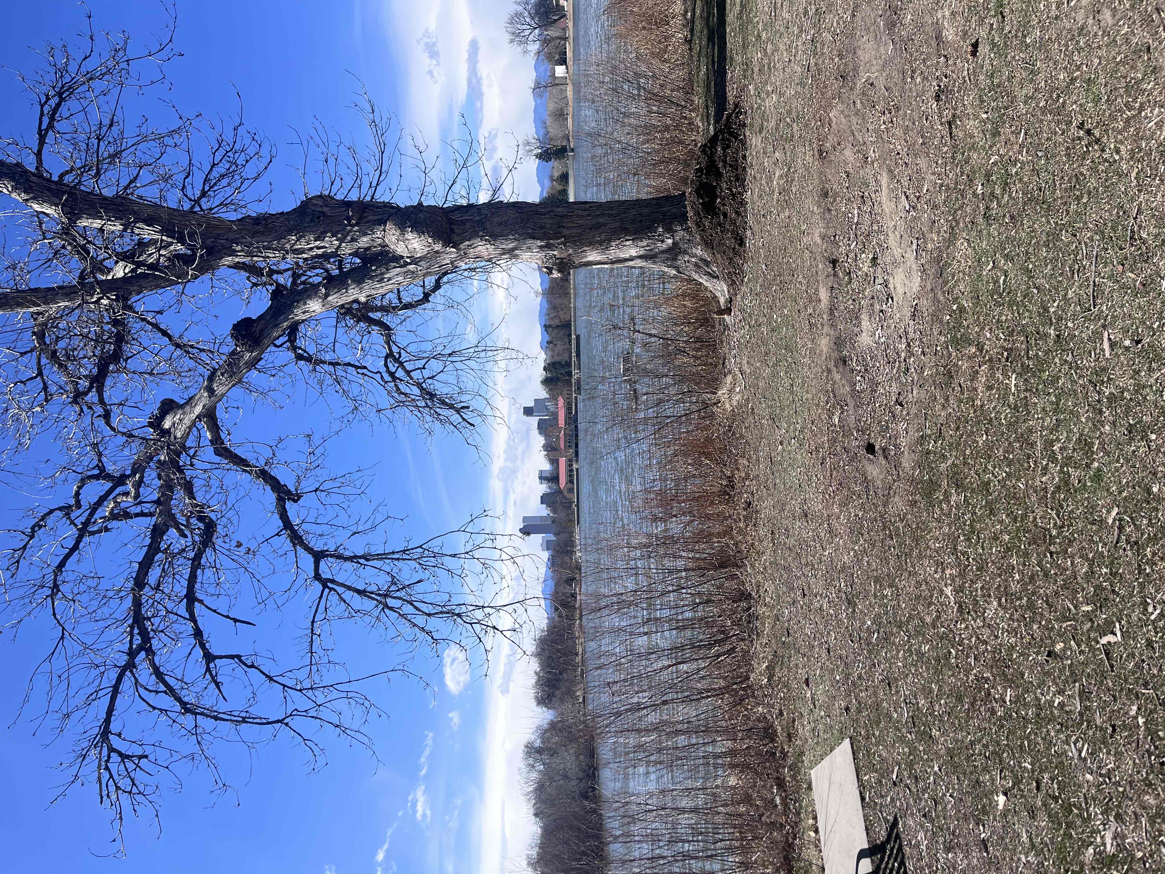 City Park Perimeter Loop