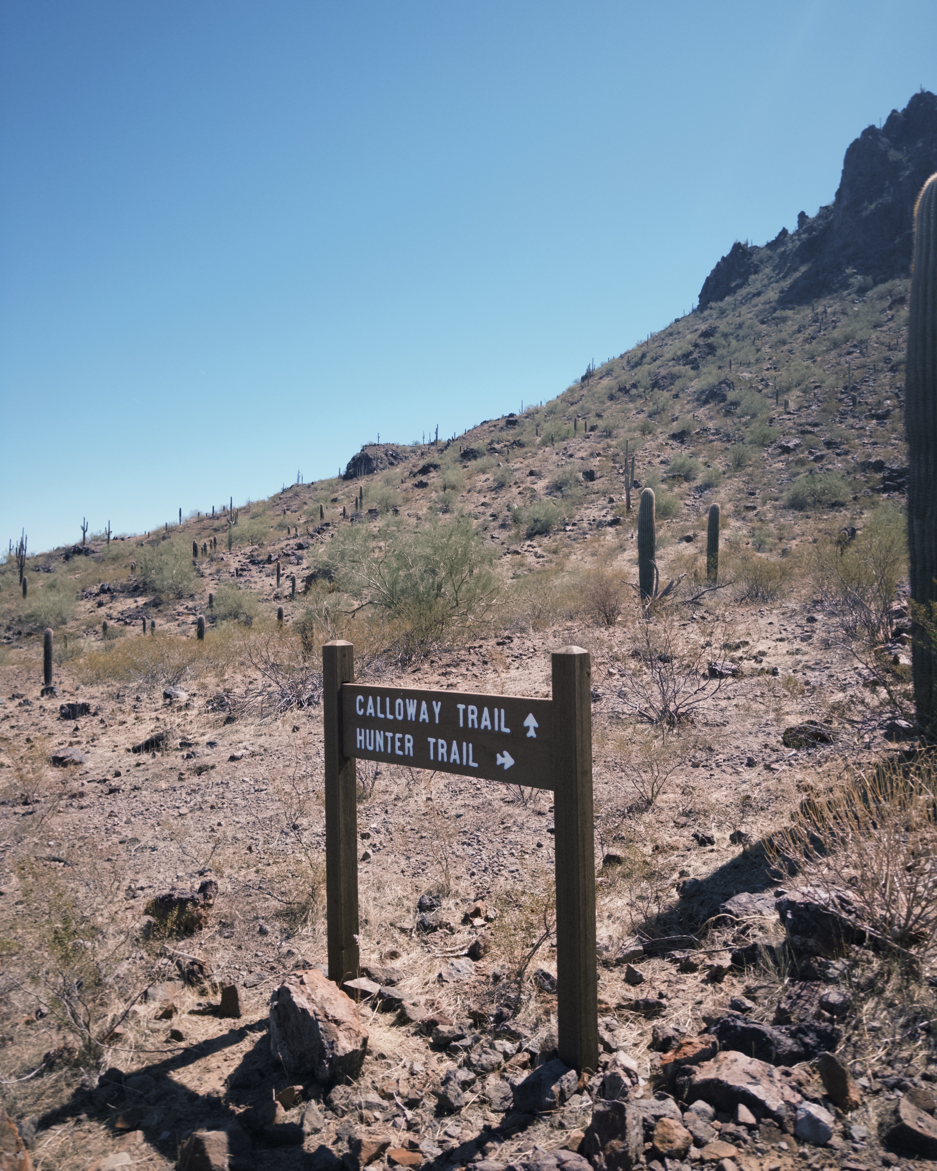 Calloway Trail