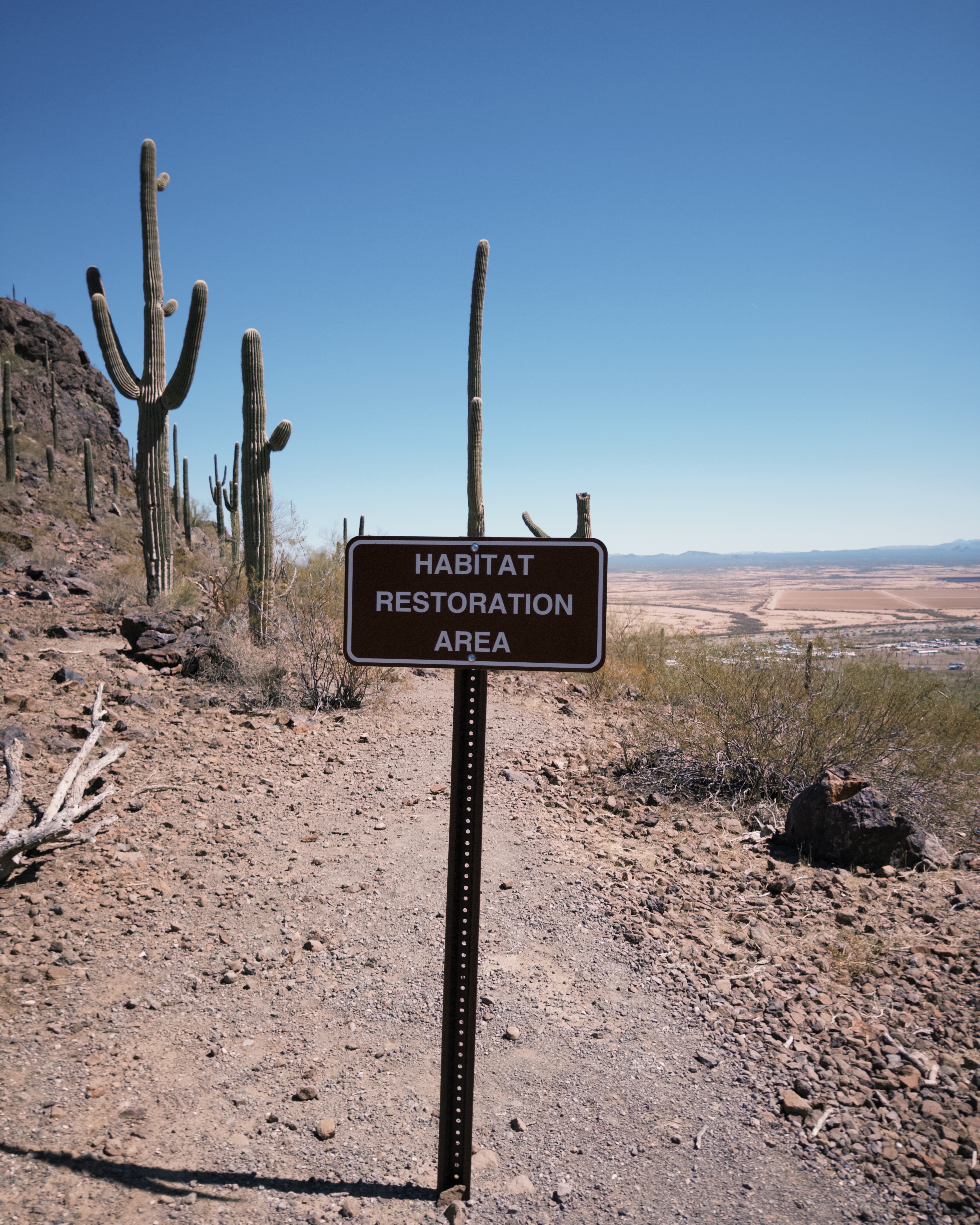 Calloway Trail
