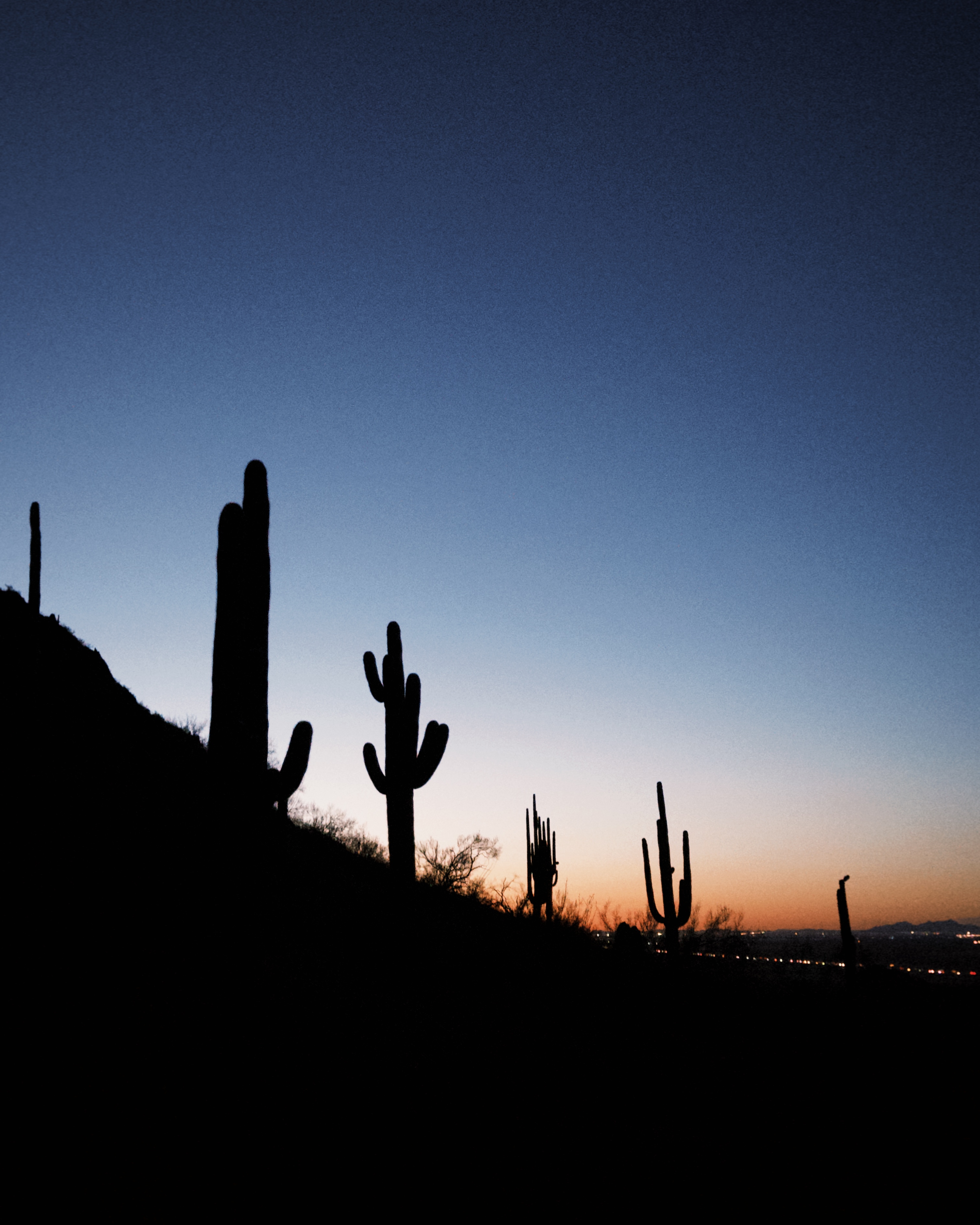 Picacho Peak's Hunter Trail 