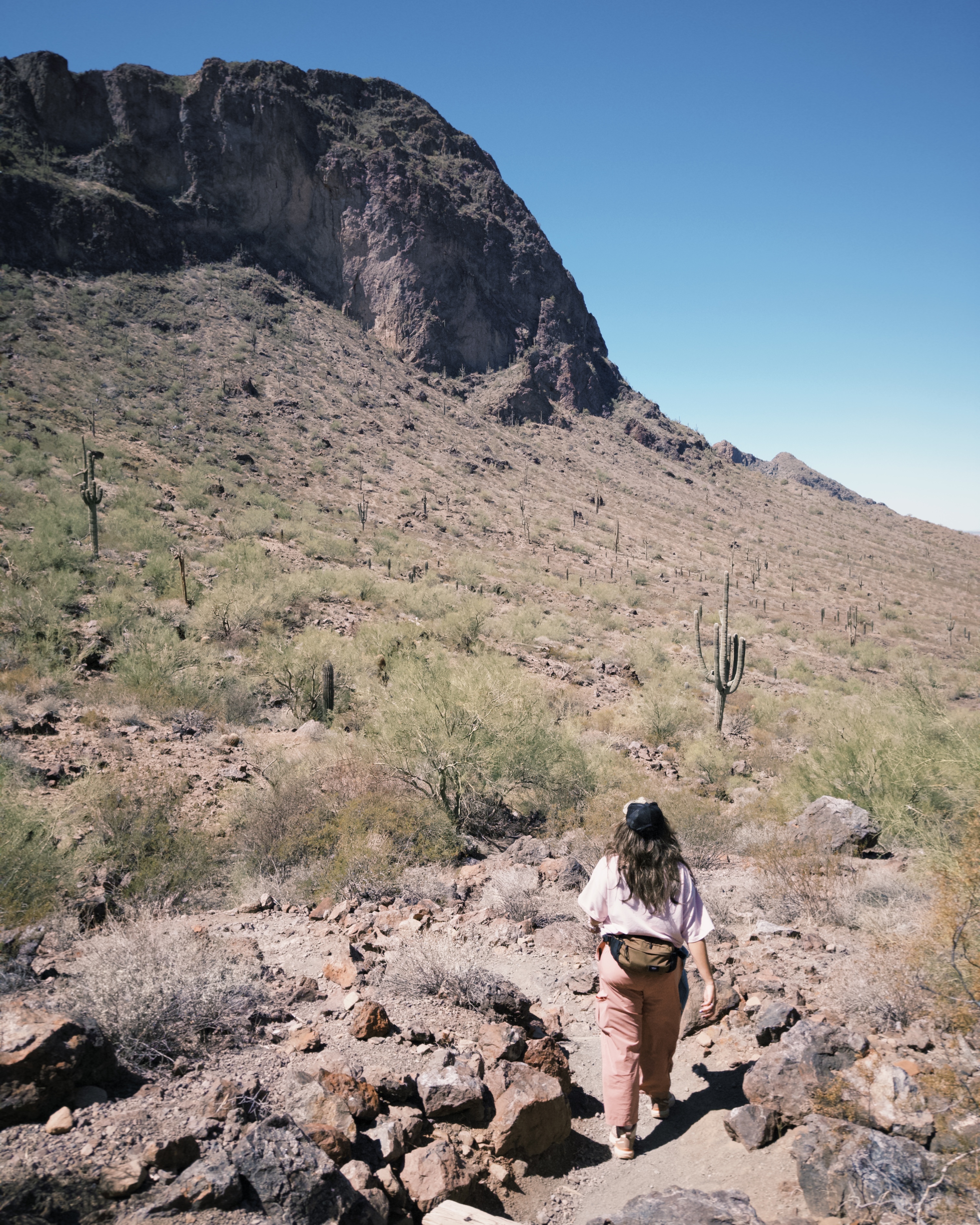 Calloway Trail