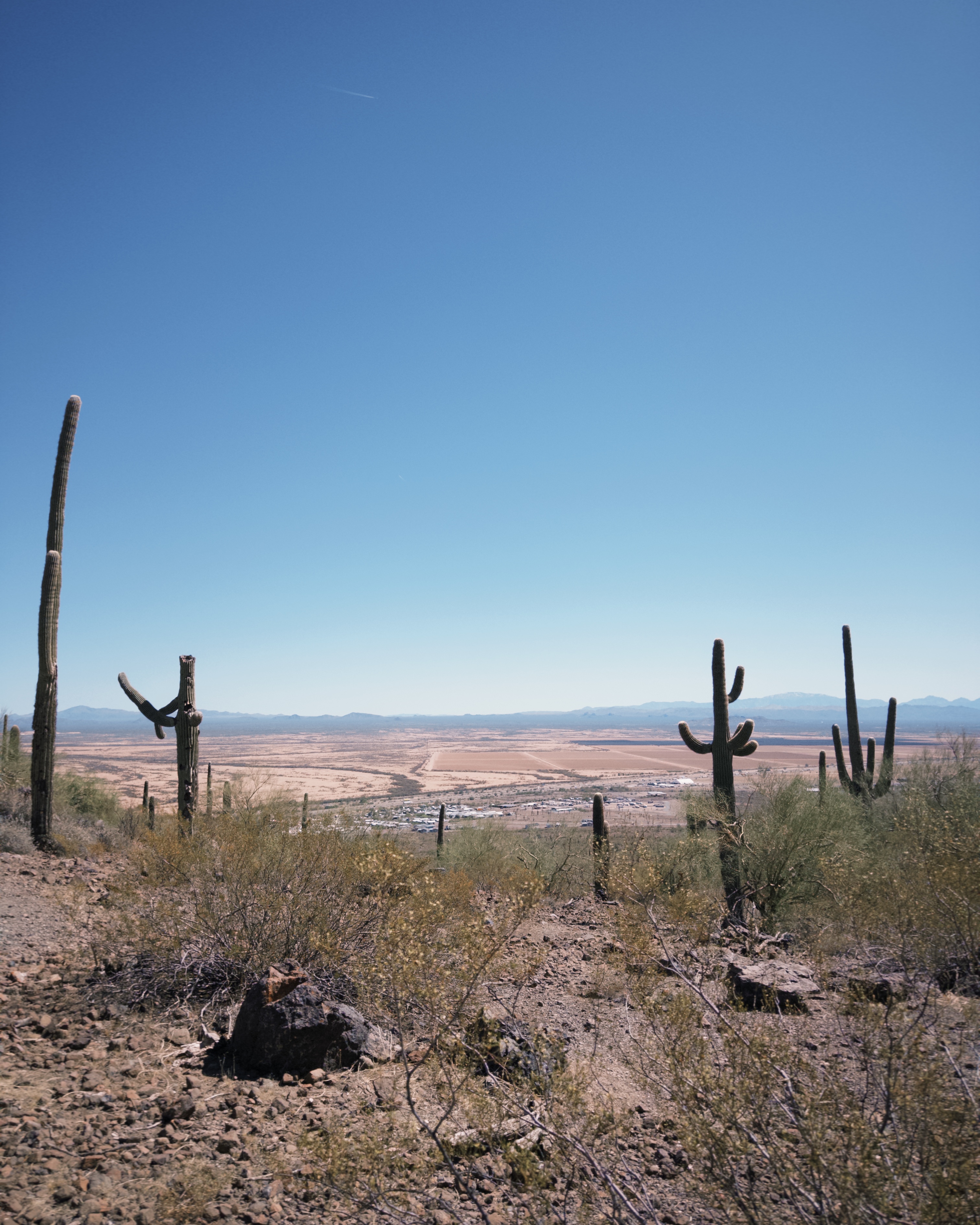 Calloway Trail