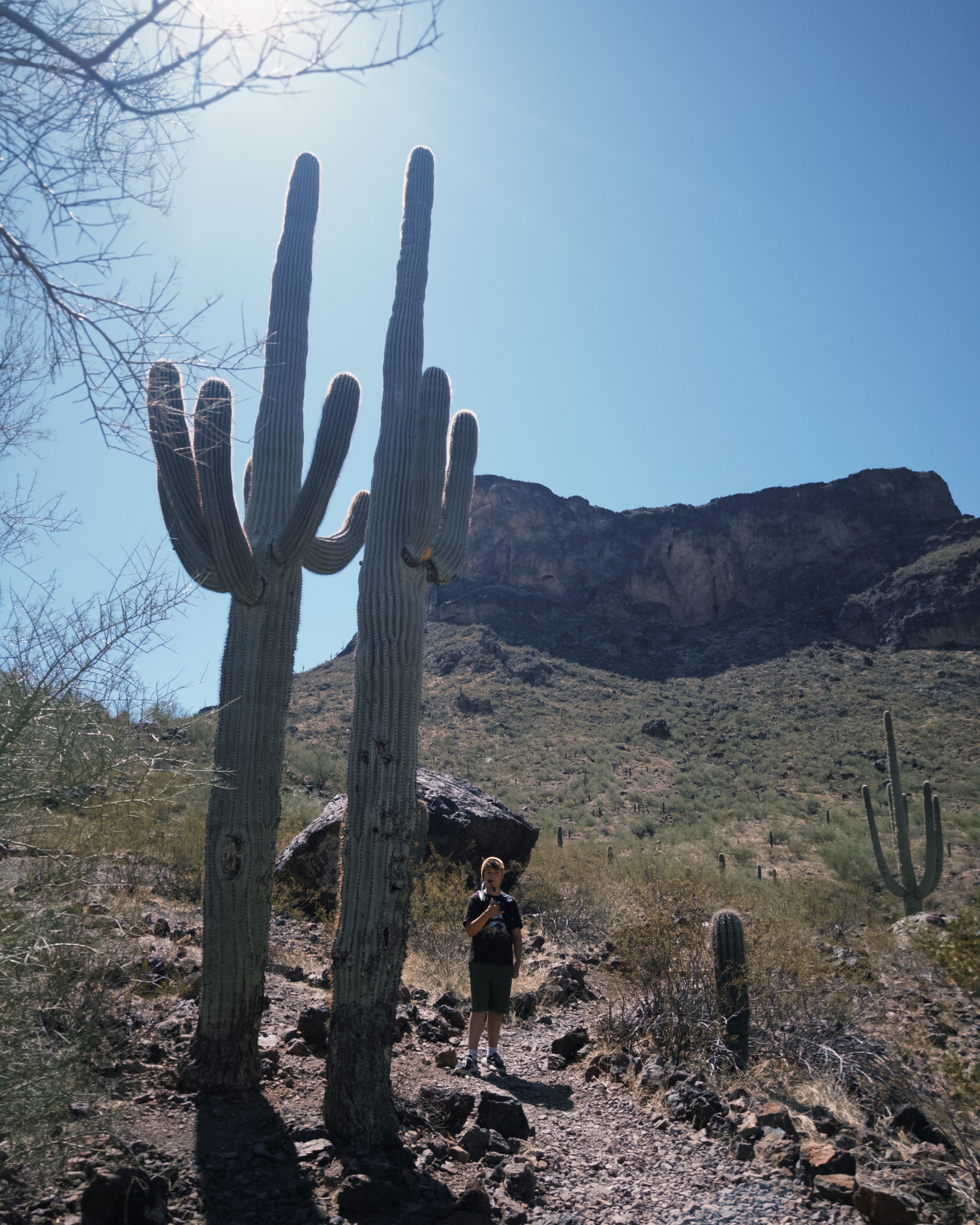 Calloway Trail