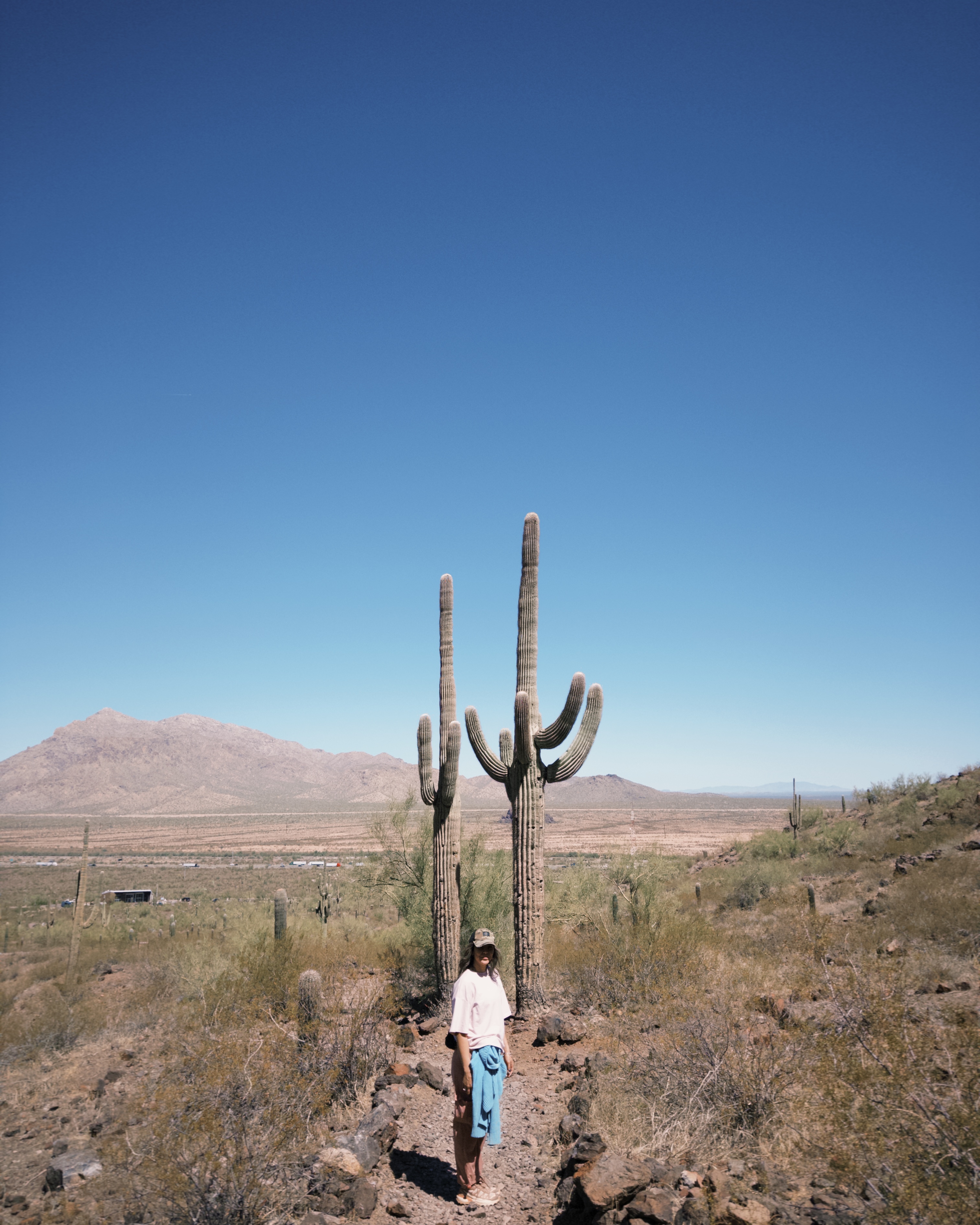 Calloway Trail
