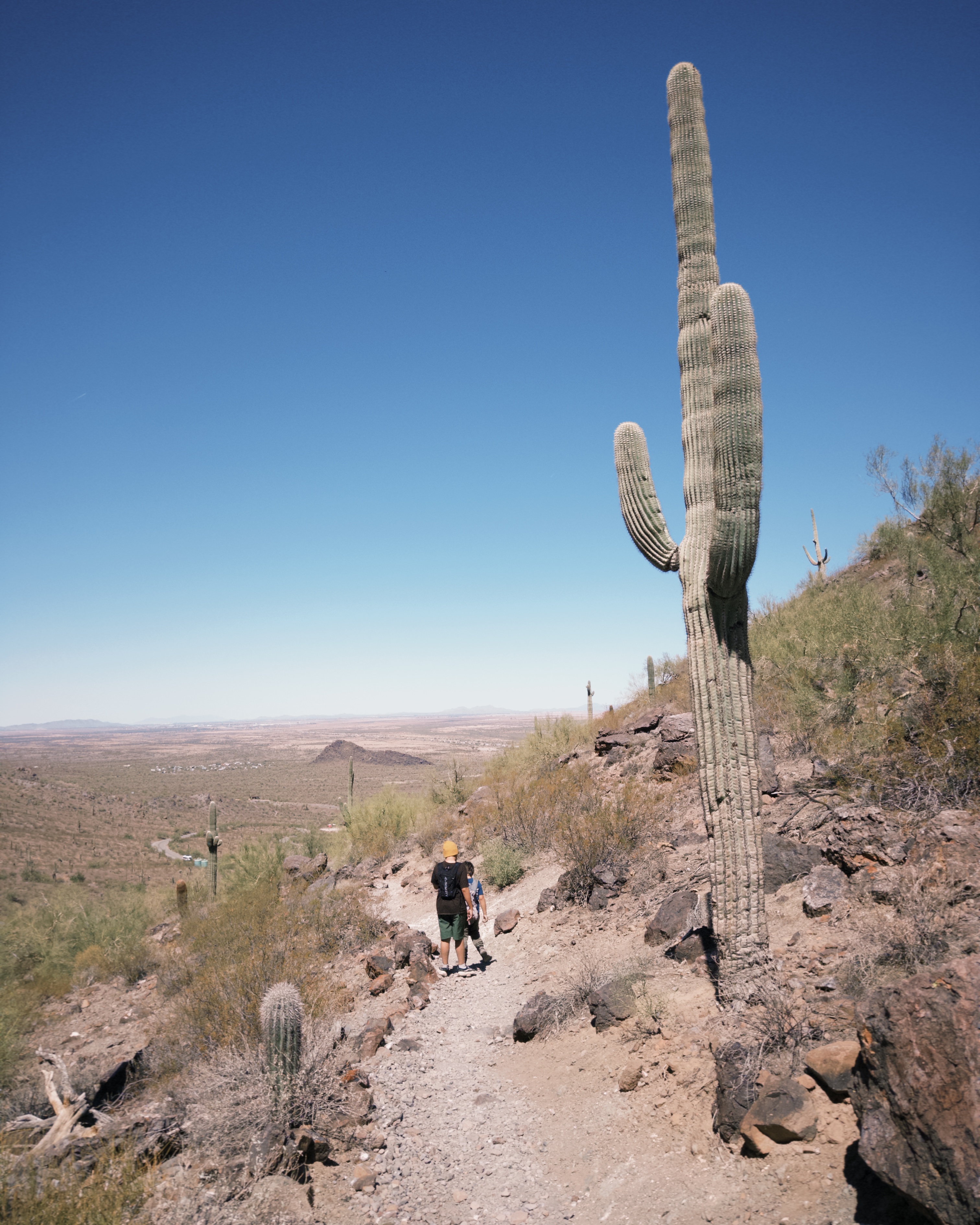 Calloway Trail
