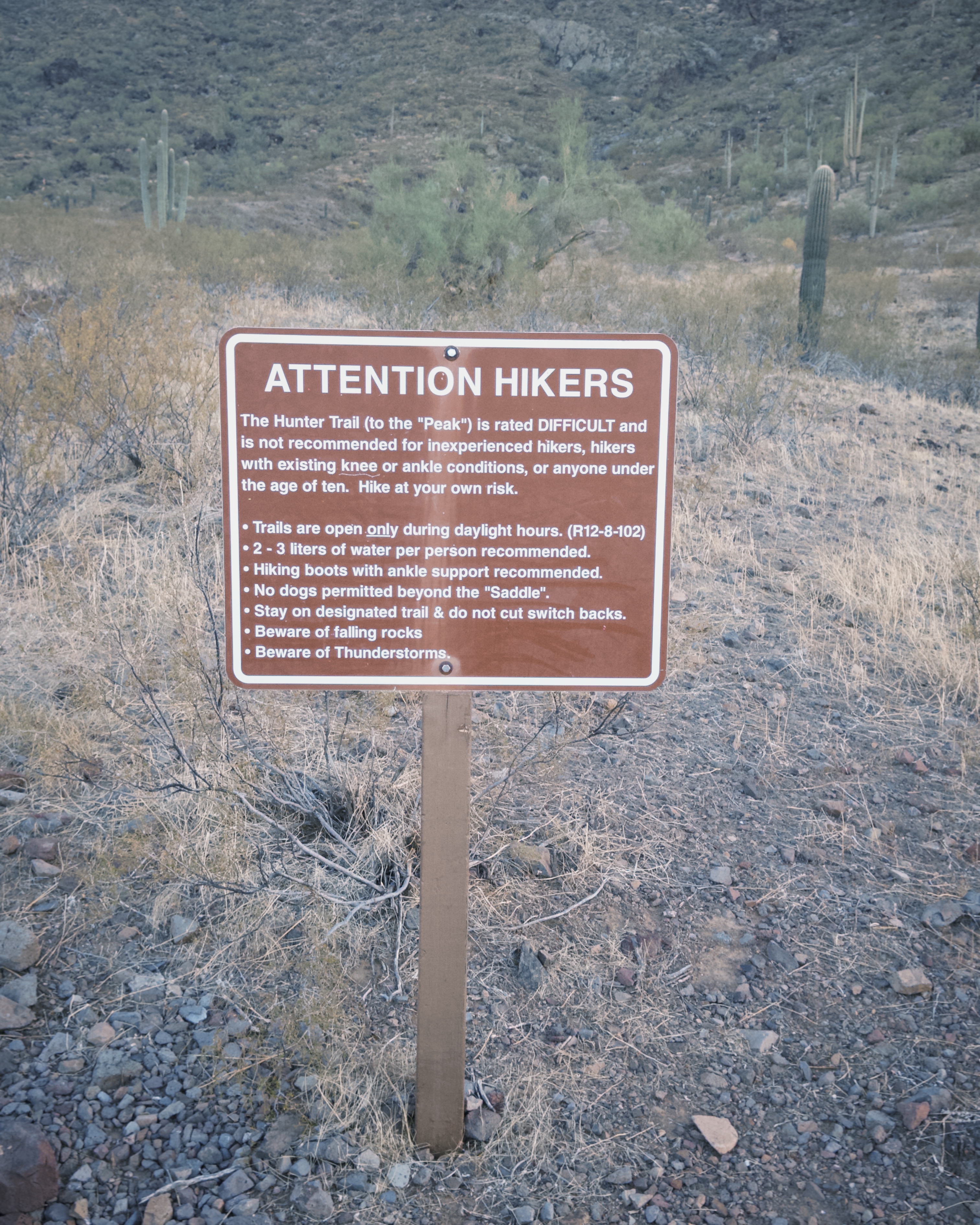 Picacho Peak's Hunter Trail 