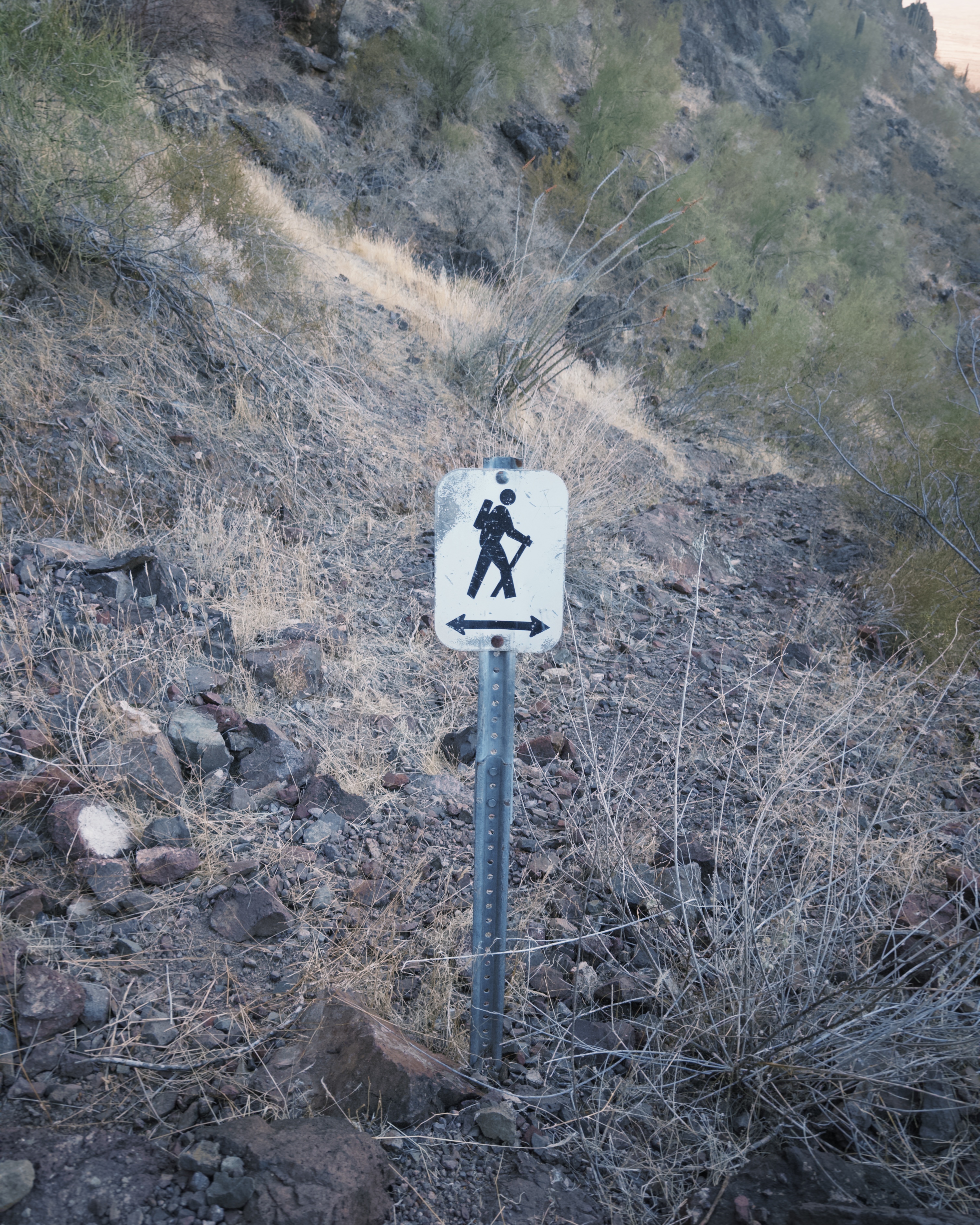 Picacho Peak's Hunter Trail 