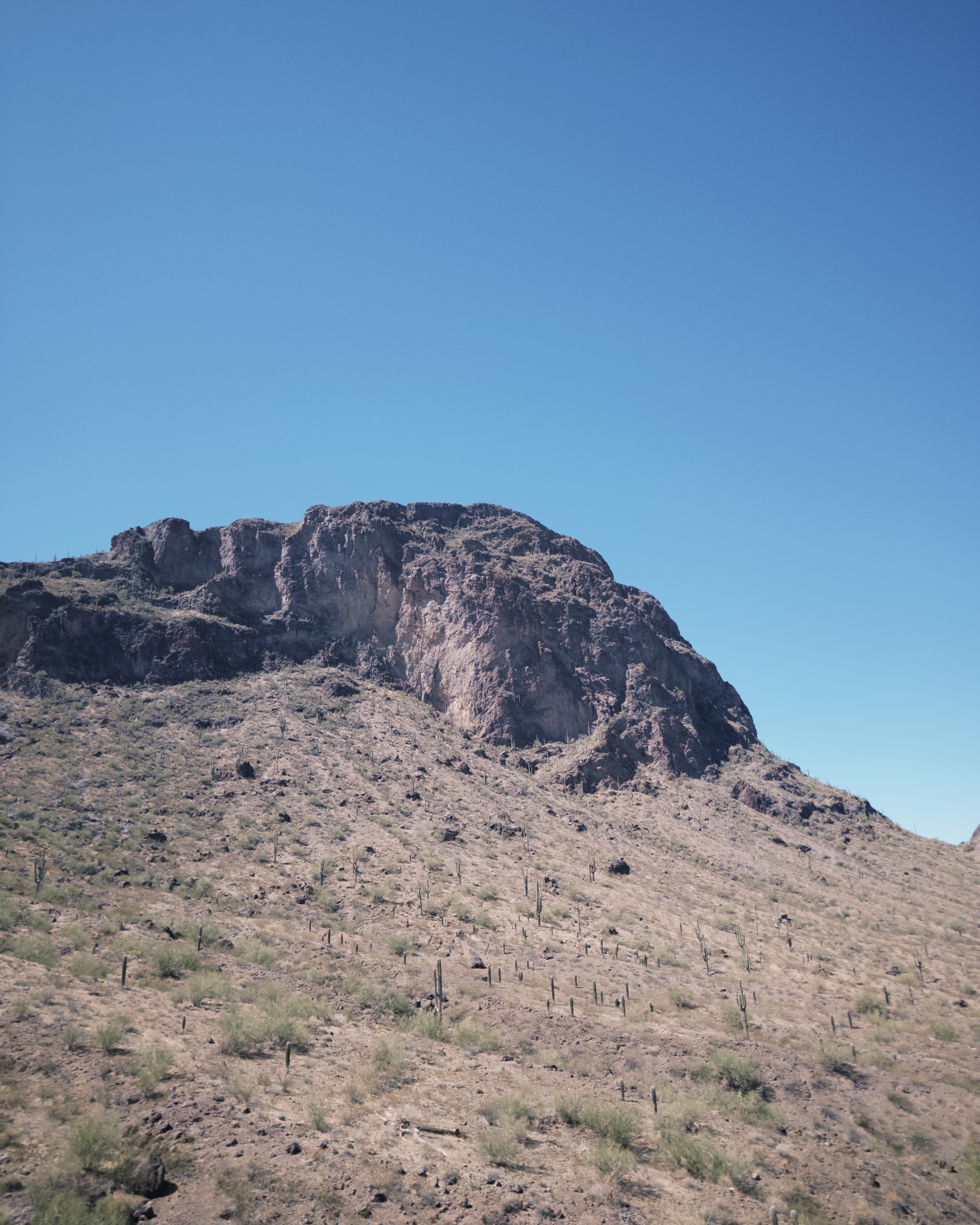 Calloway Trail