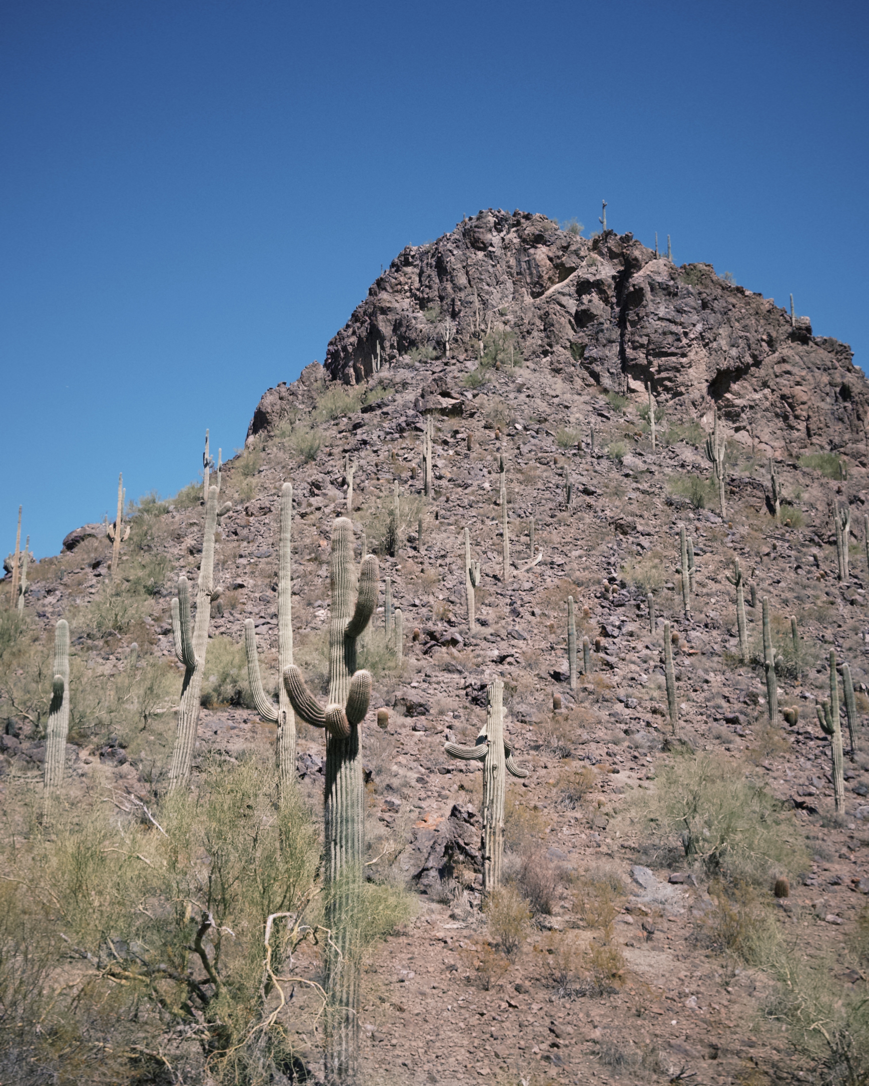 Calloway Trail