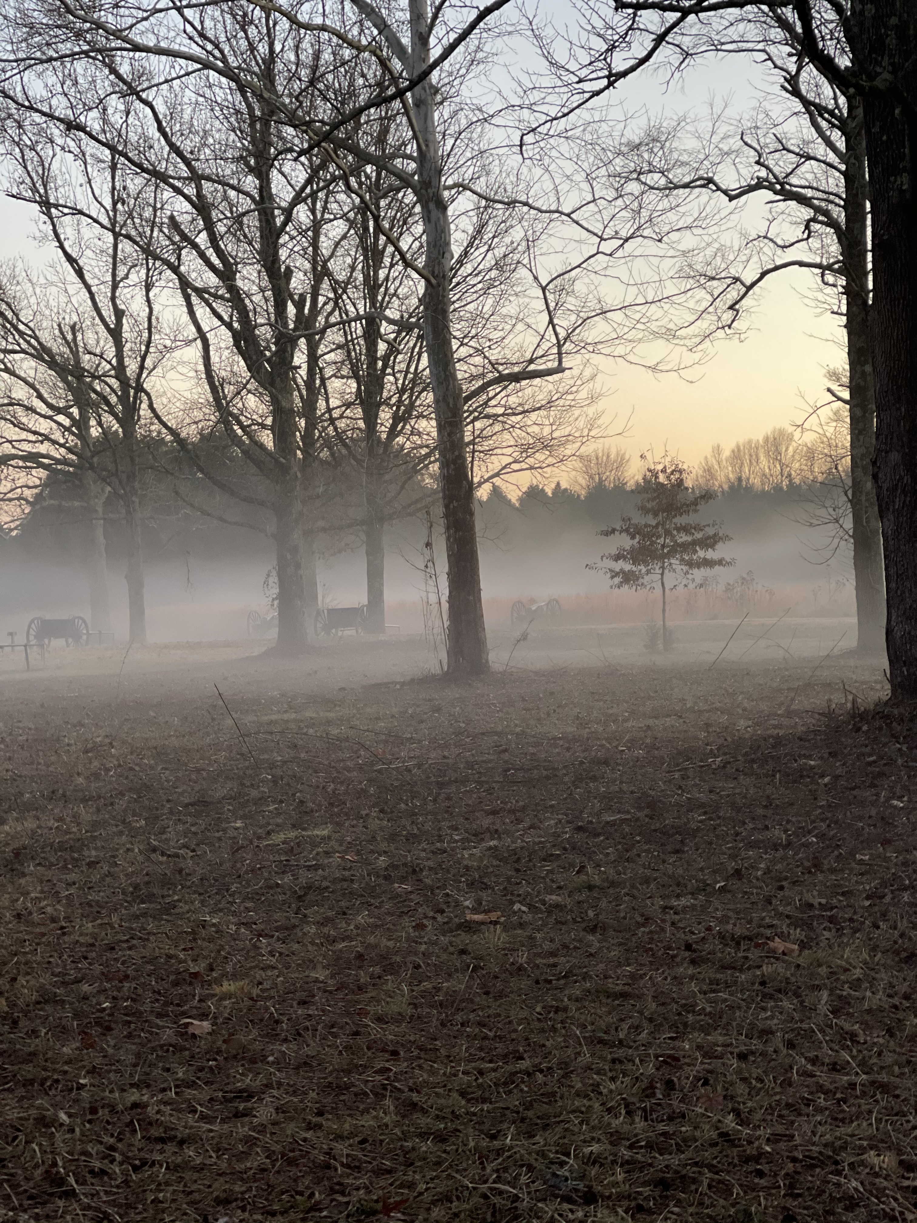 Explore Stones River National Battlefield