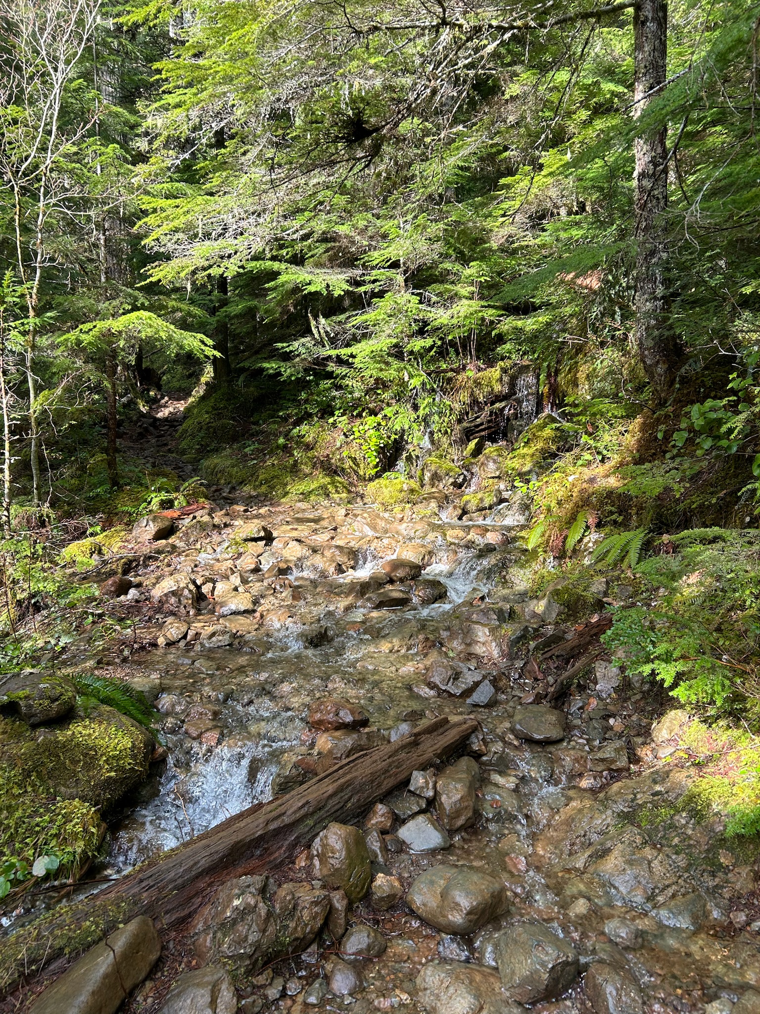 Lena Lake