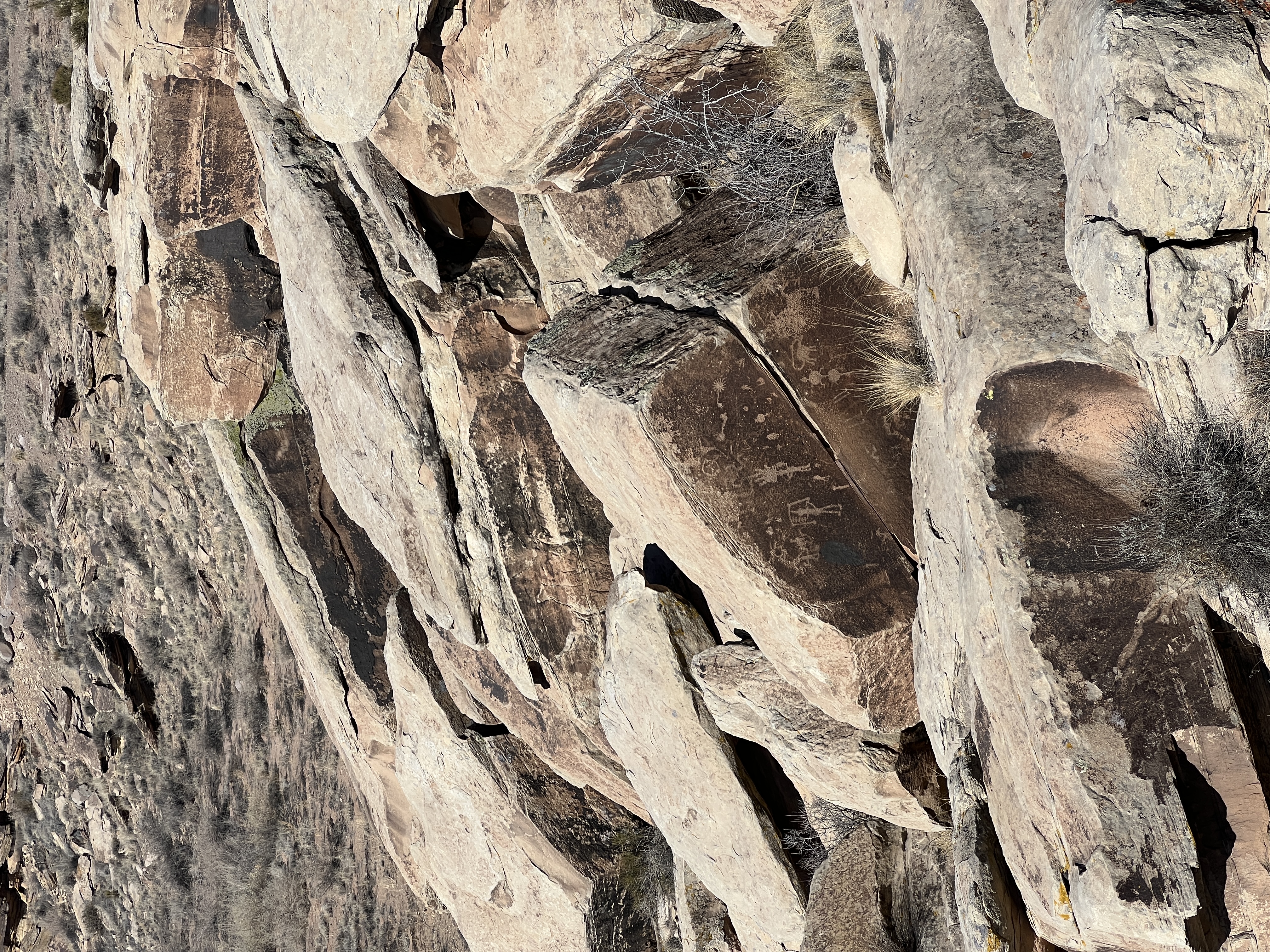 Puerco Pueblo Trail