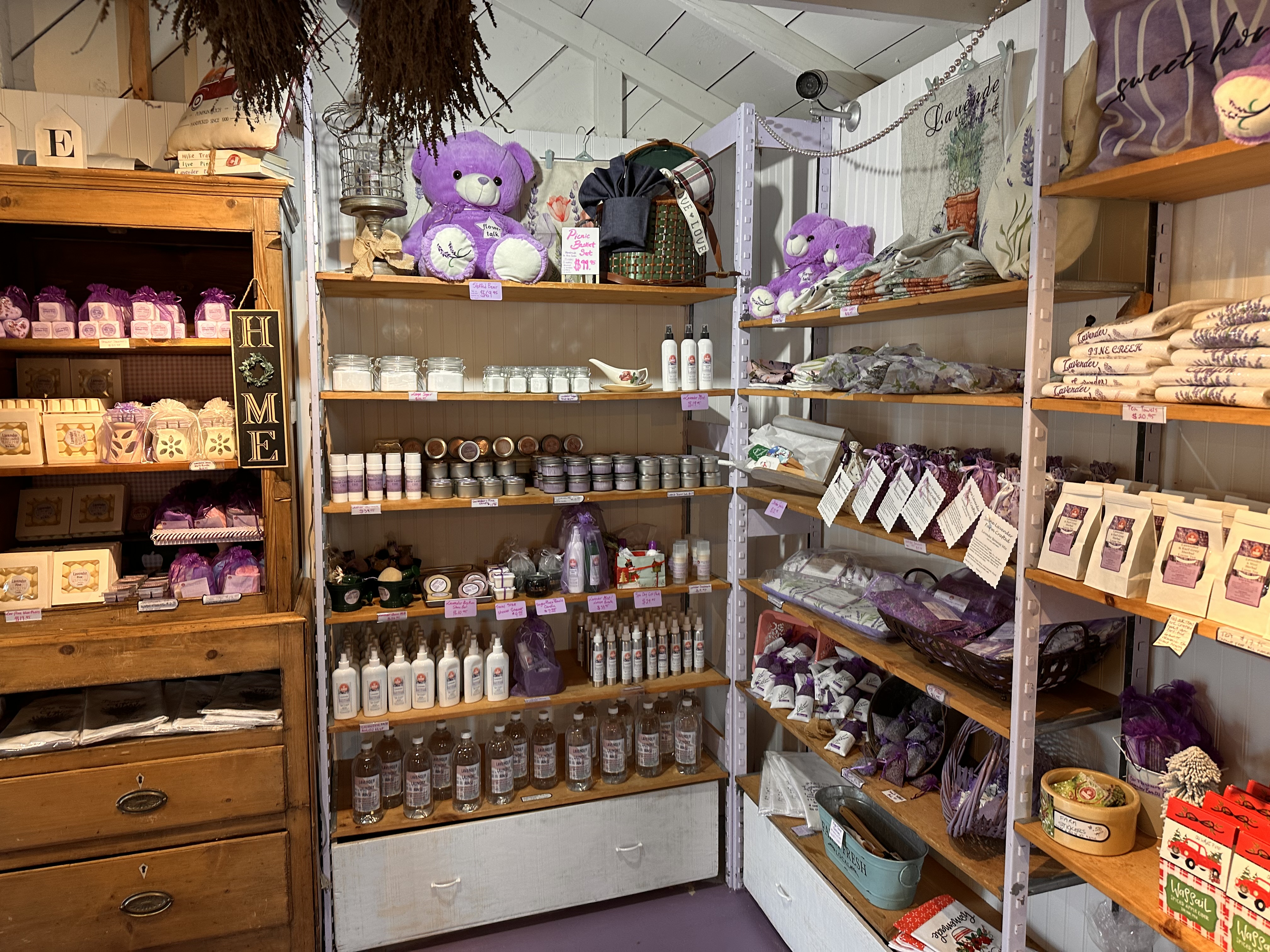 Pine Creek's Lavender Farm