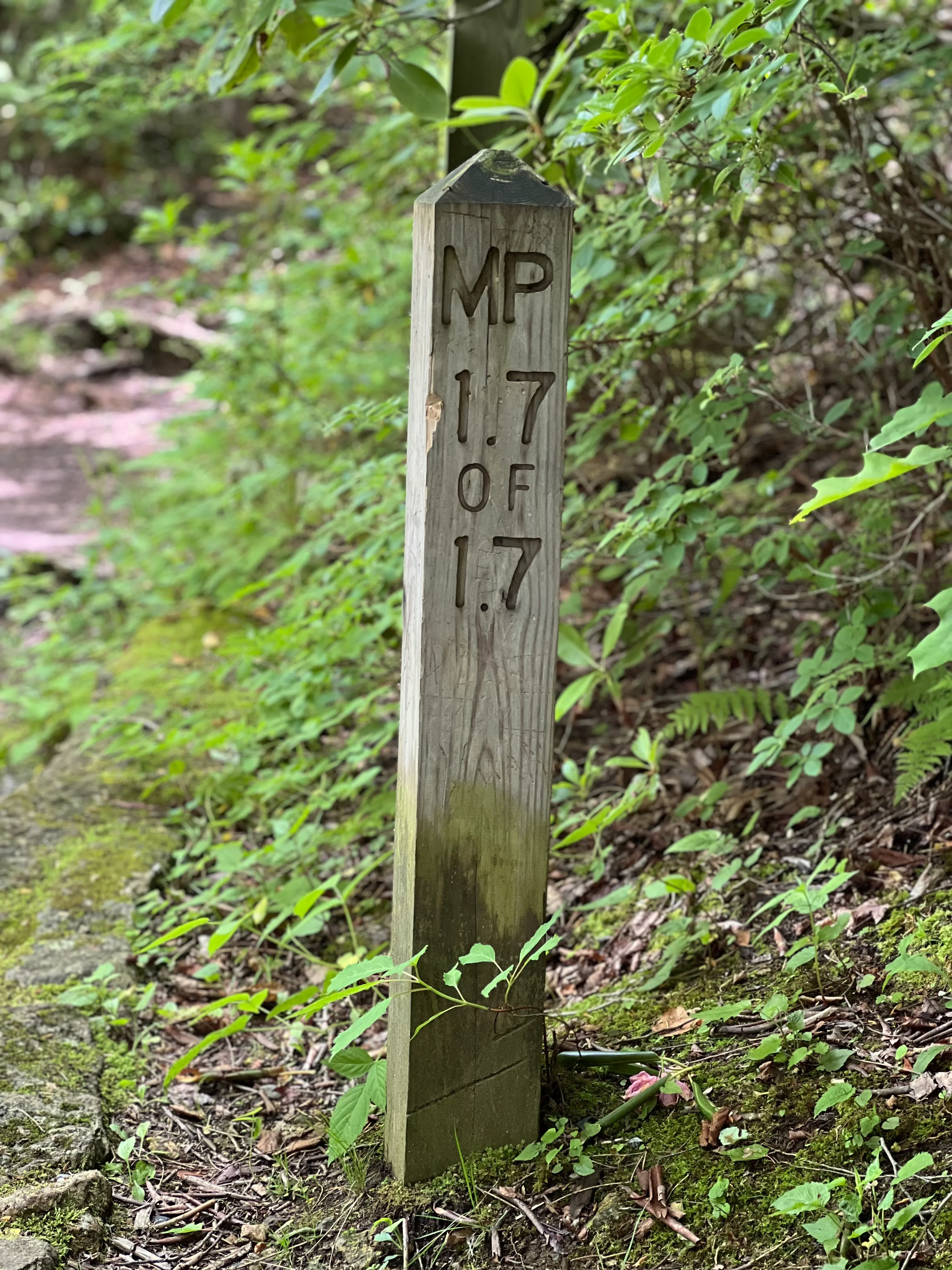 Crabtree Falls