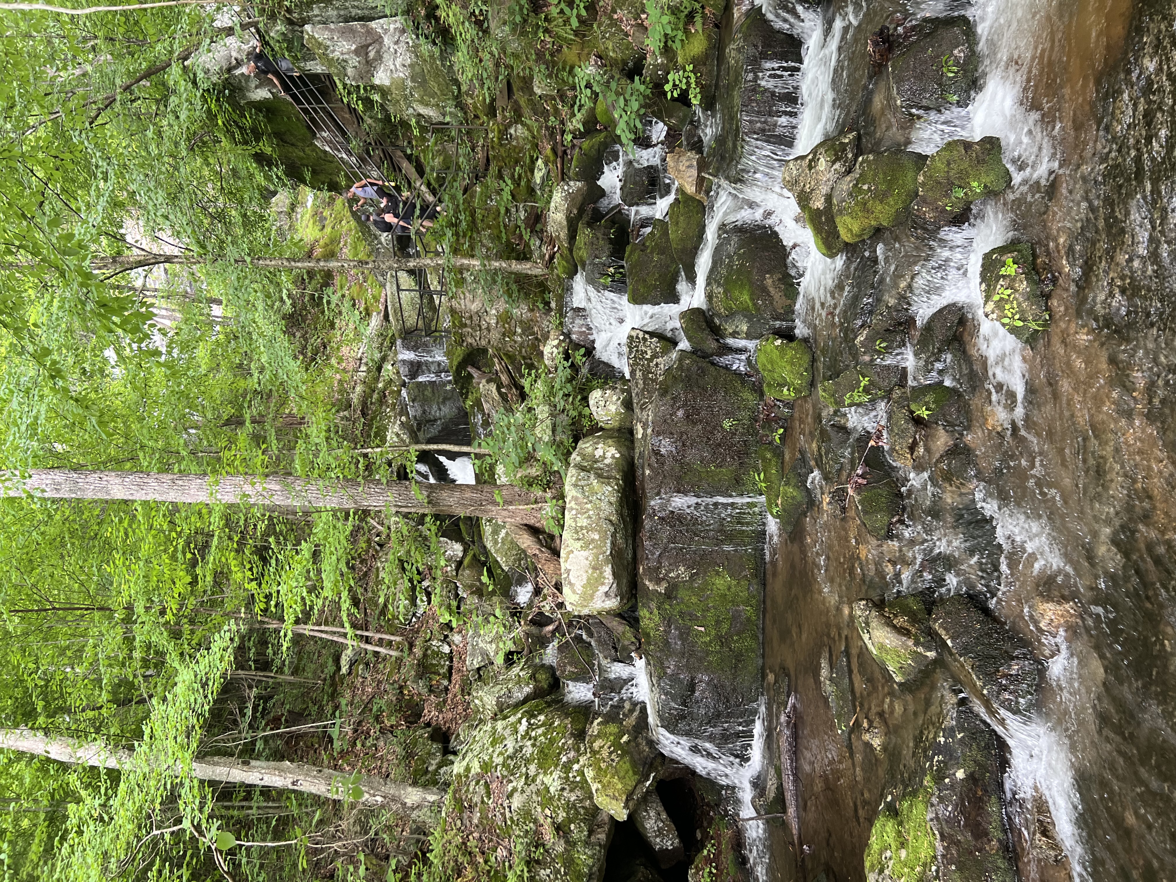 High Bridge