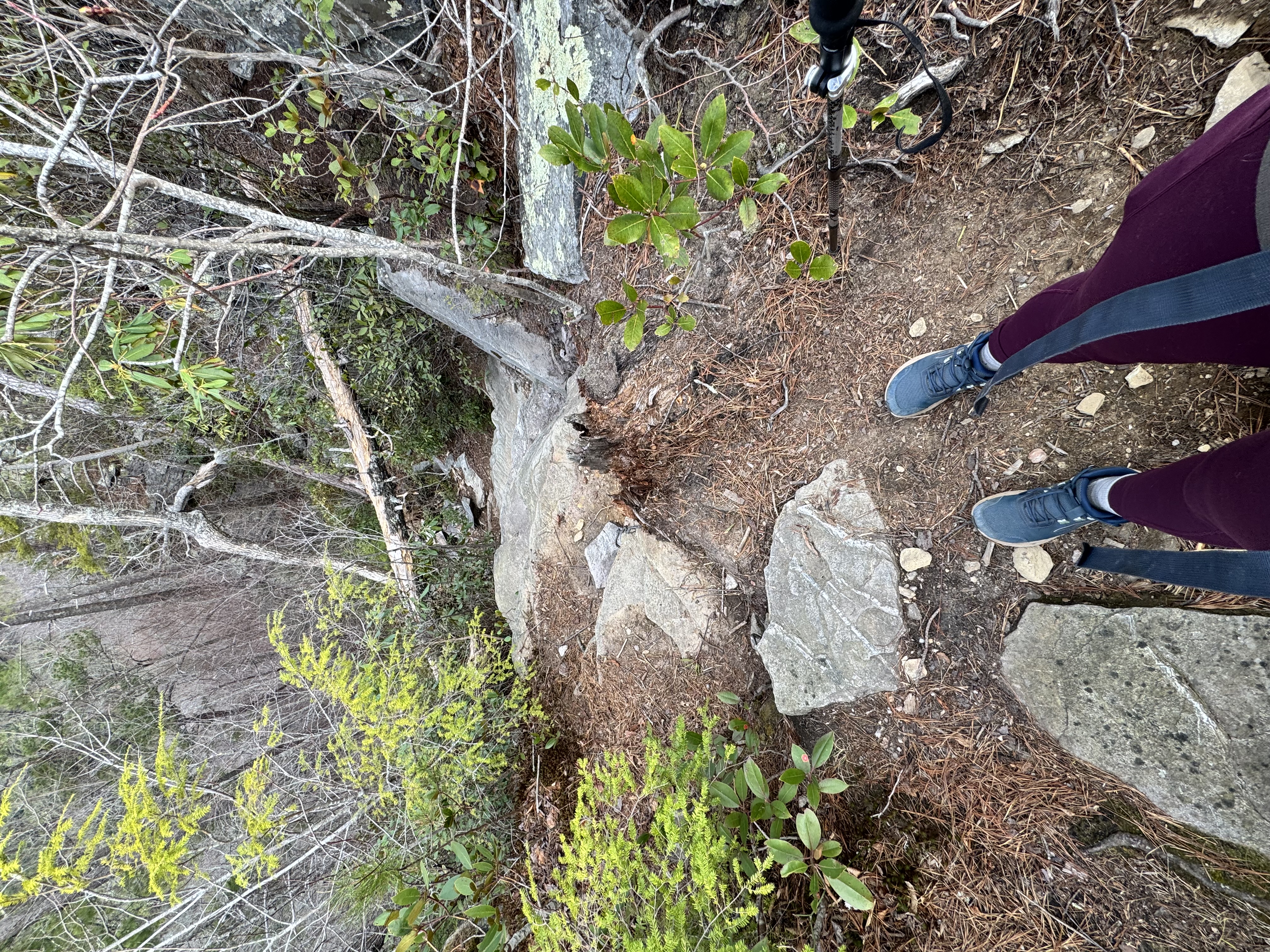 Babel Tower Trail