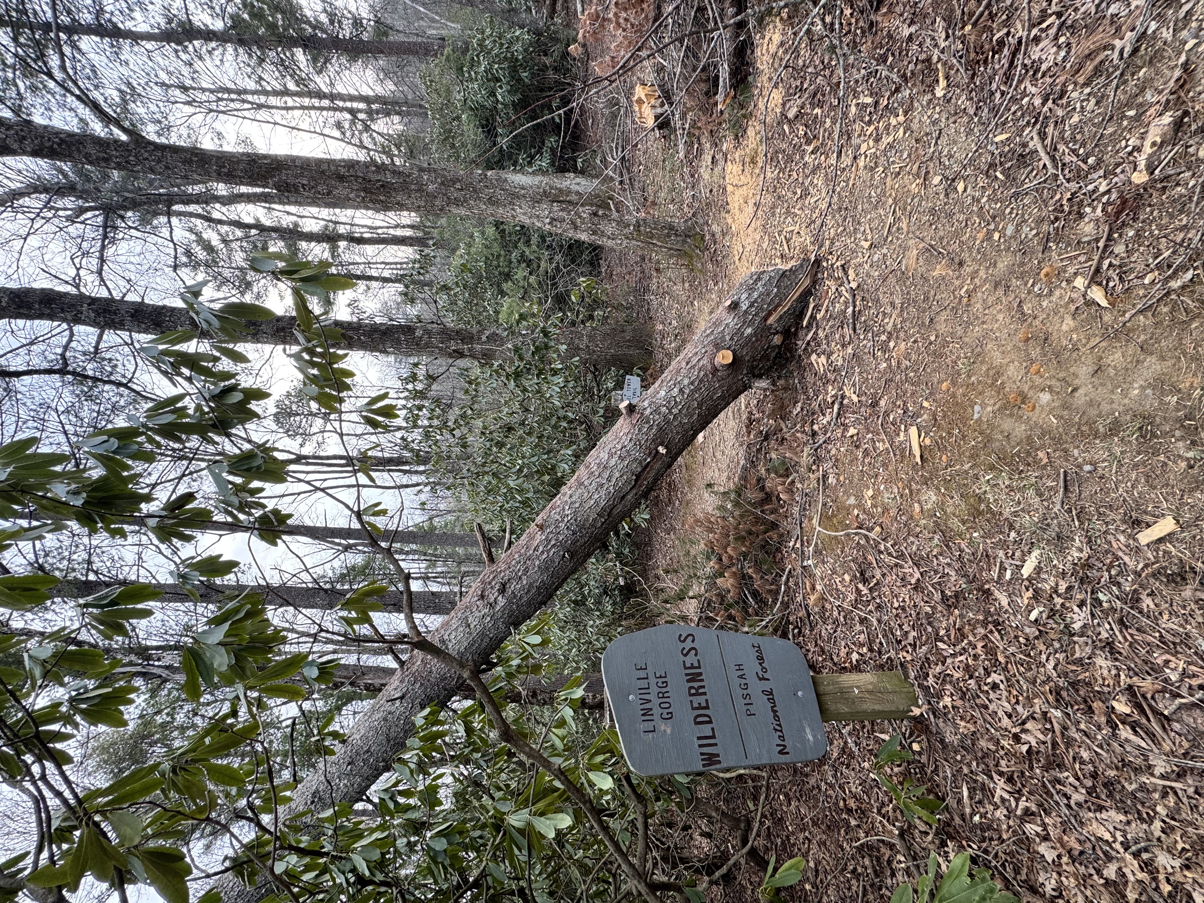 Babel Tower Trail