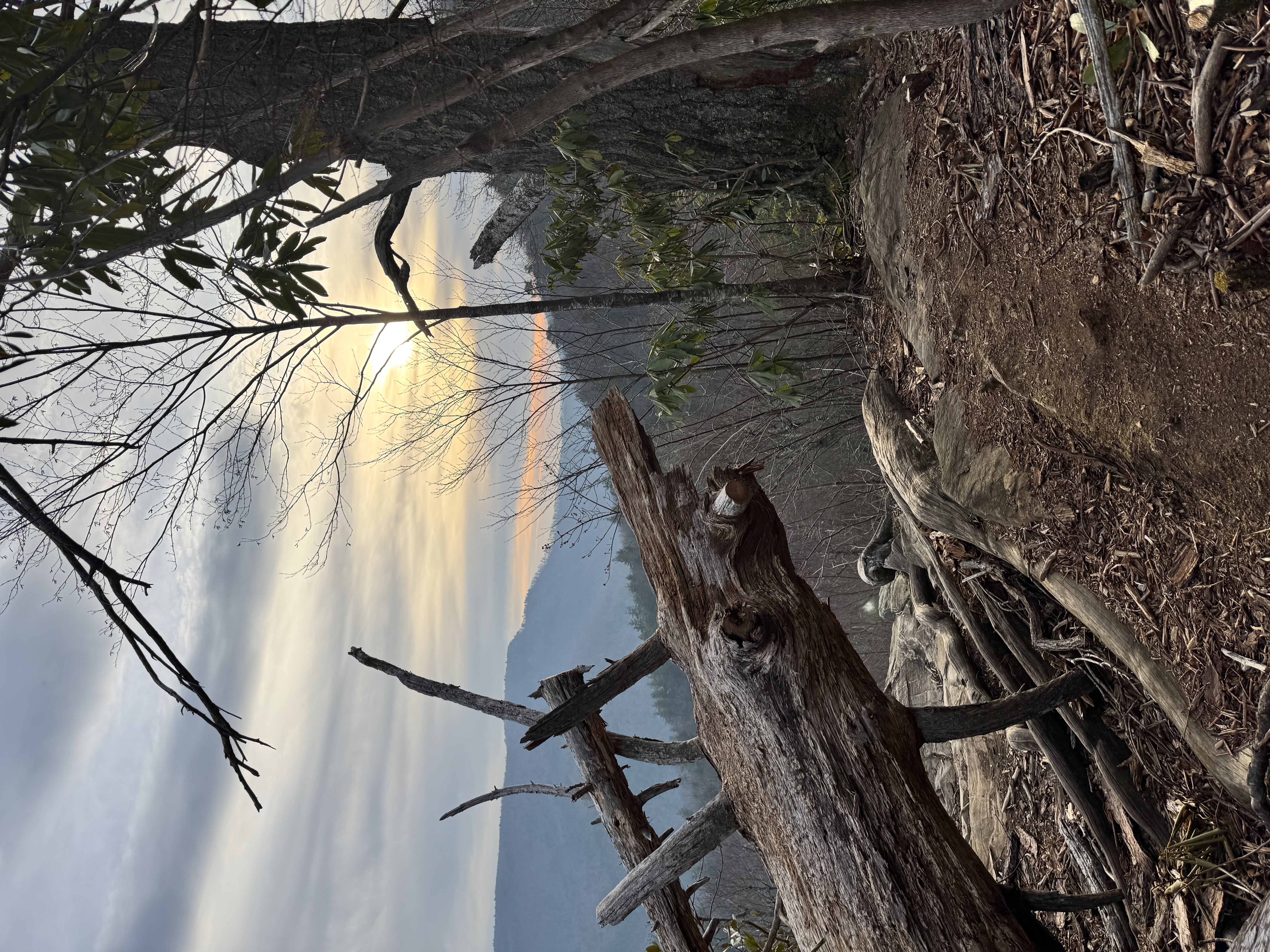 Babel Tower Trail