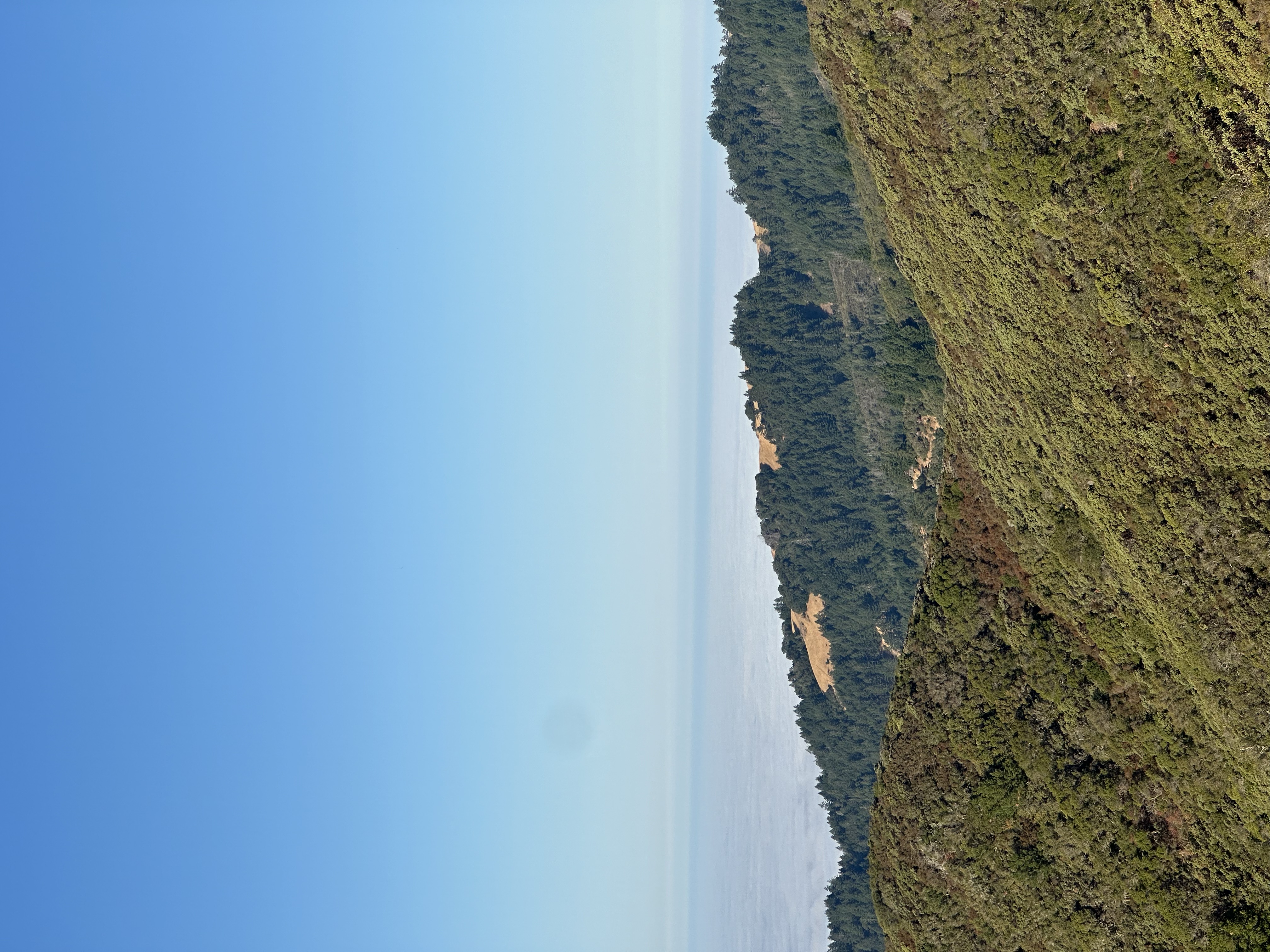 Mountain Home Inn to Mount Tam East Peak
