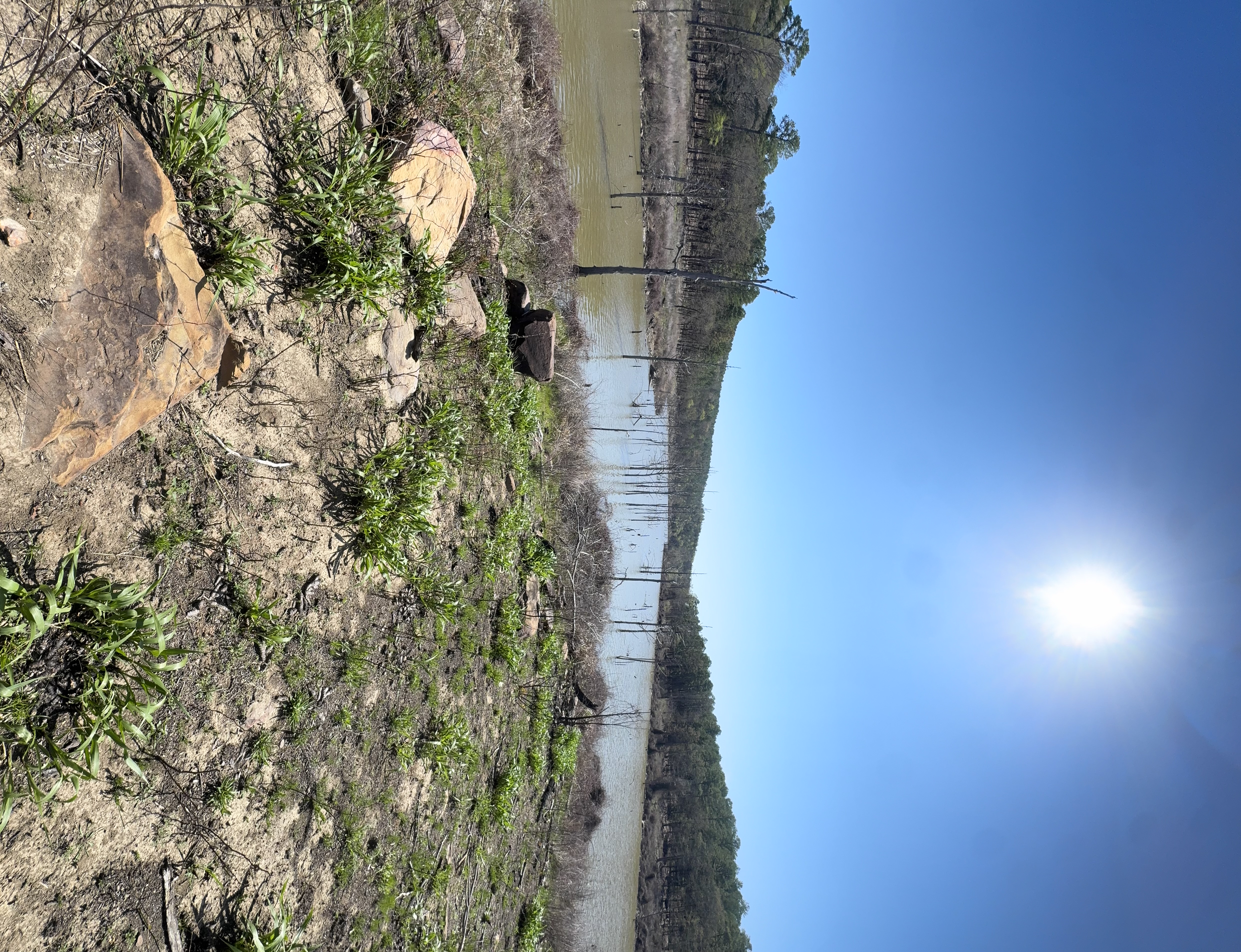 McGee Creek Natural Scenic Recreation Area Loop