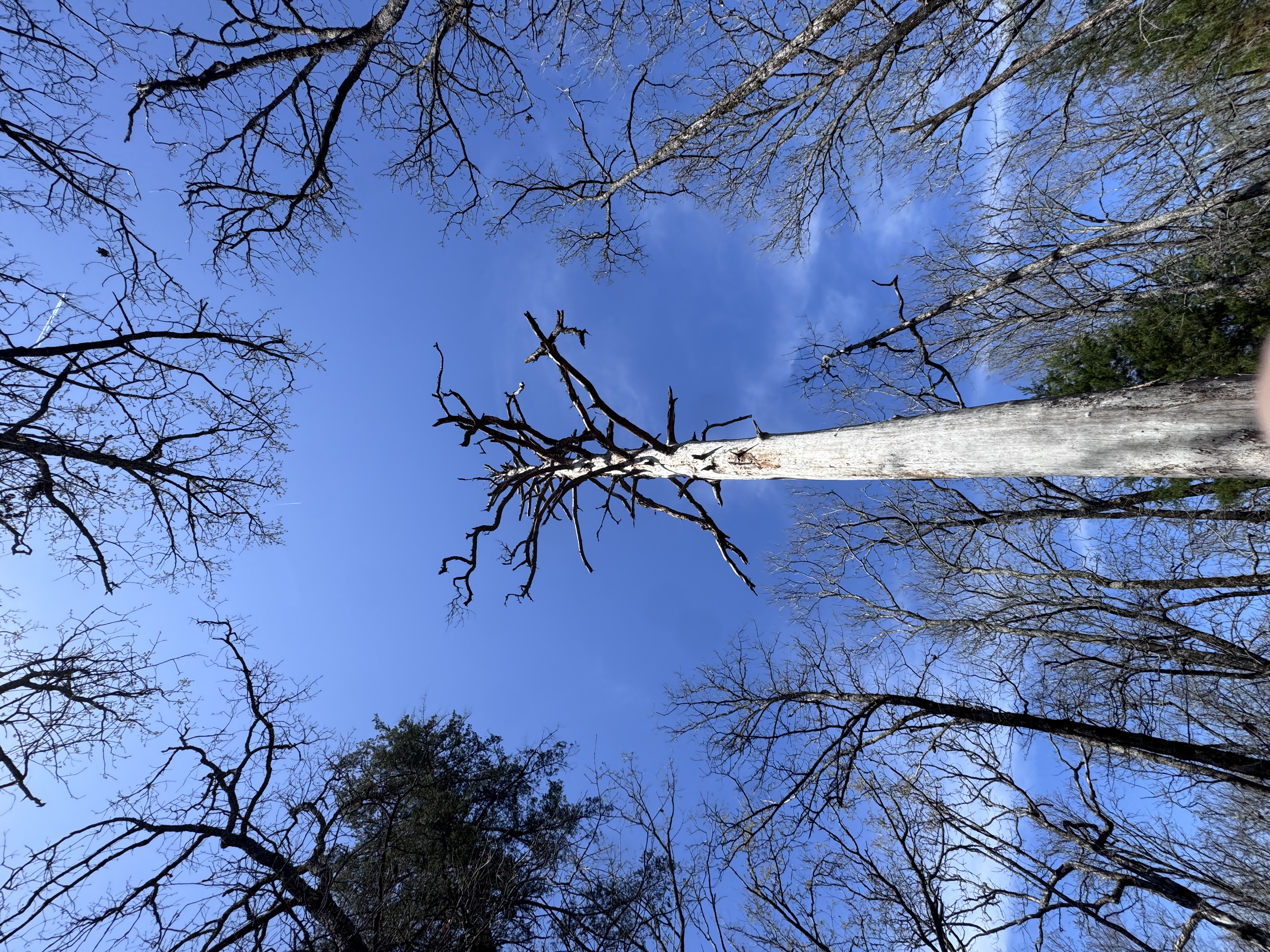 McGee Creek Natural Scenic Recreation Area Loop