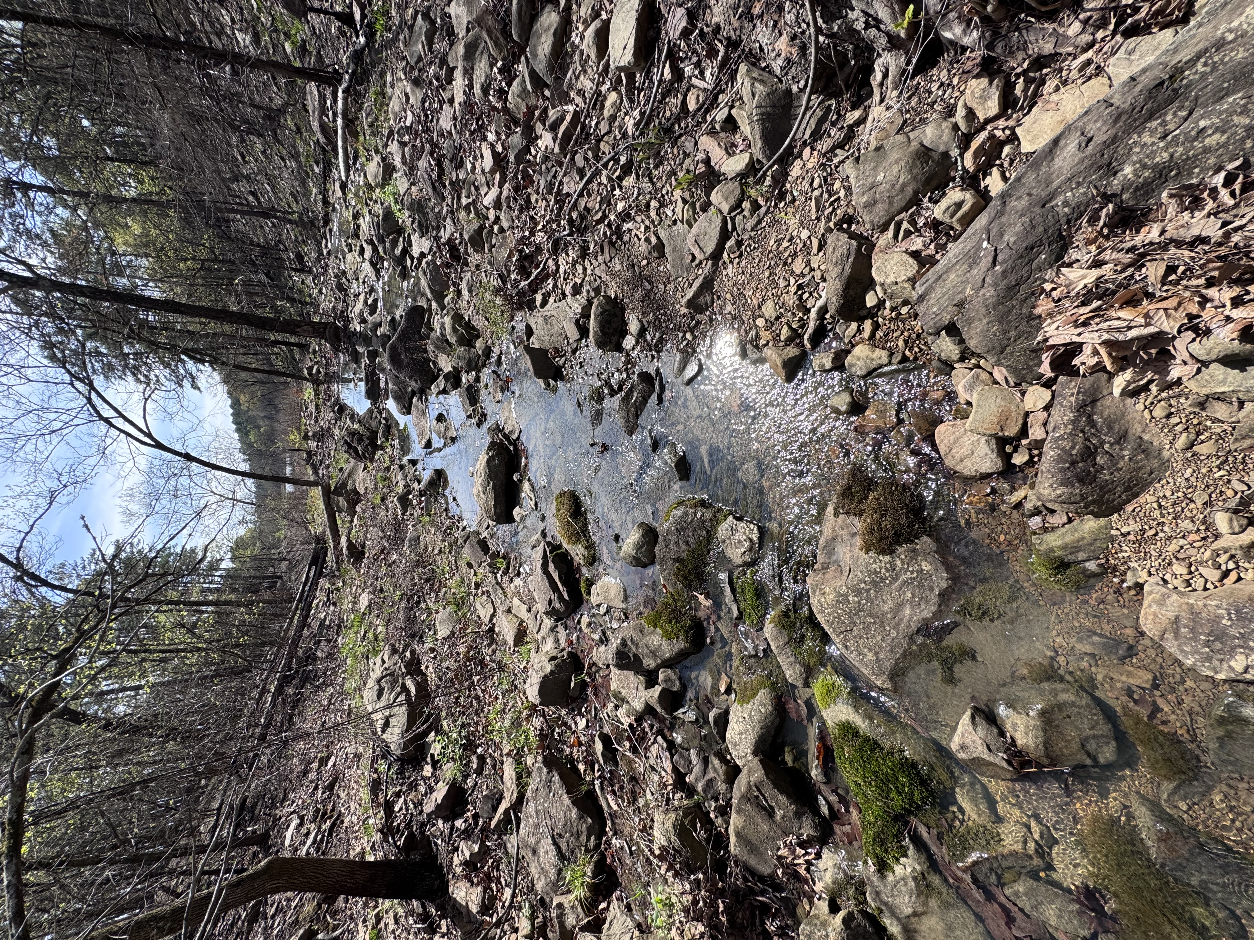McGee Creek Natural Scenic Recreation Area Loop