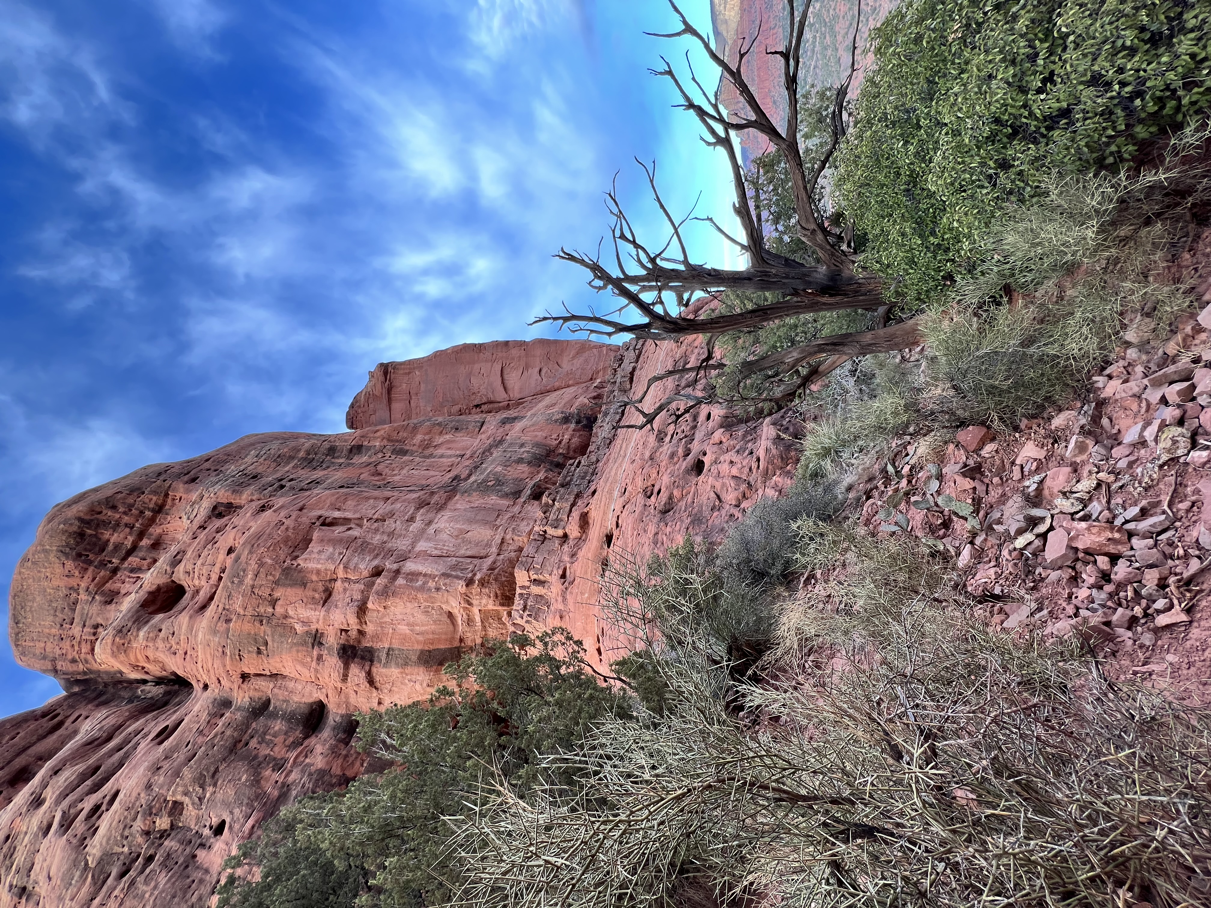 Cathedral Rock