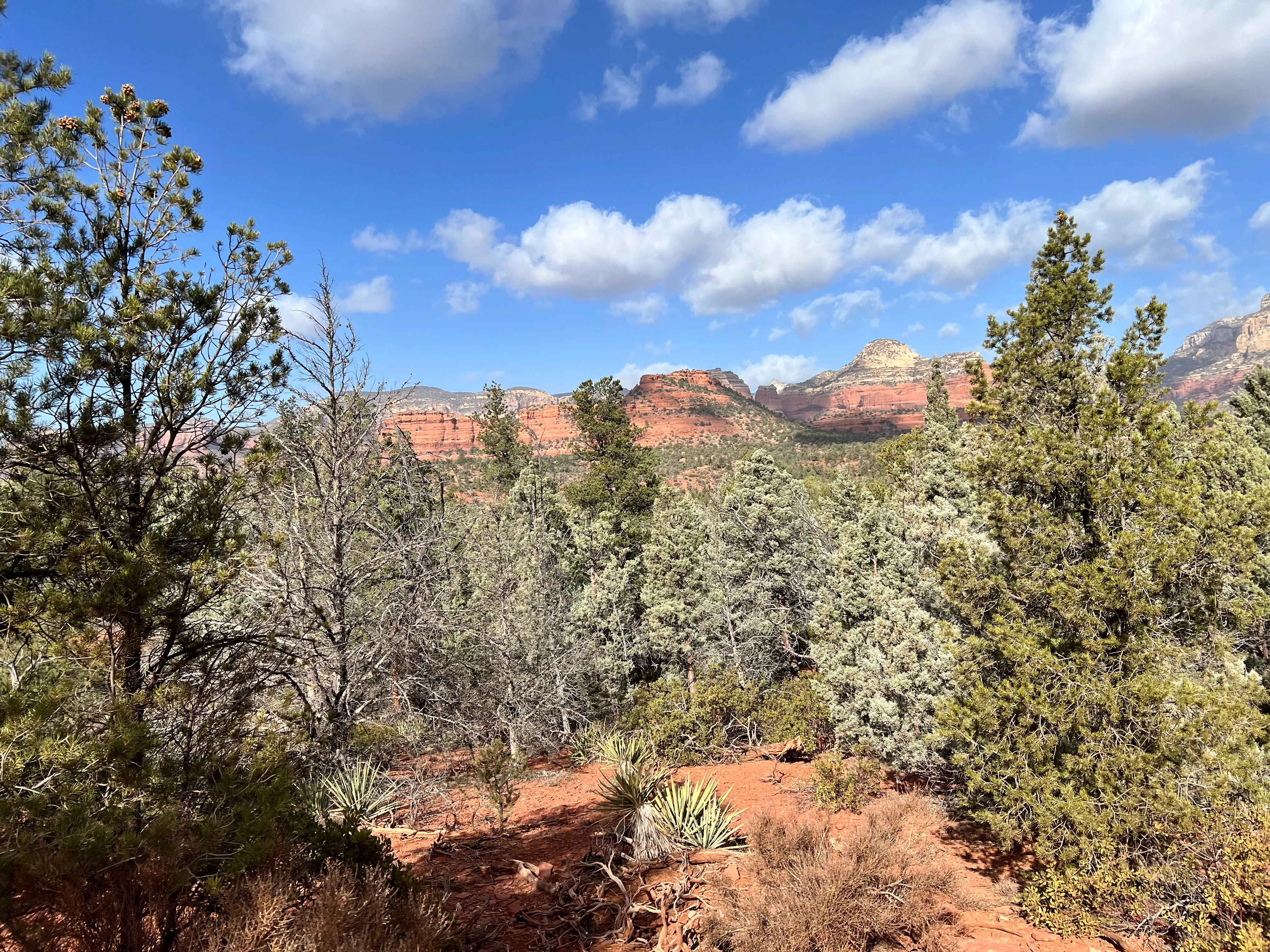 Devil's Bridge Trail