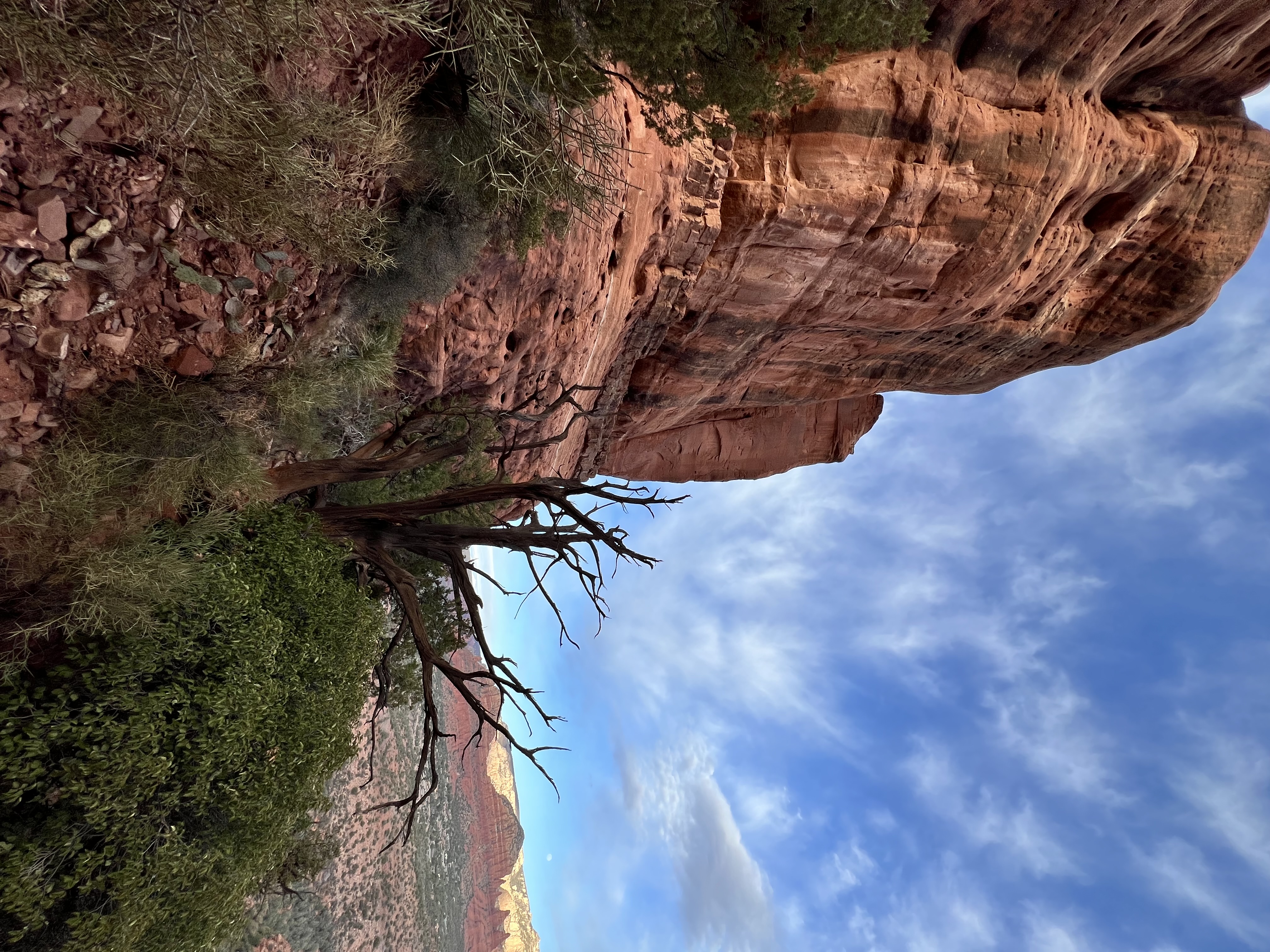 Cathedral Rock