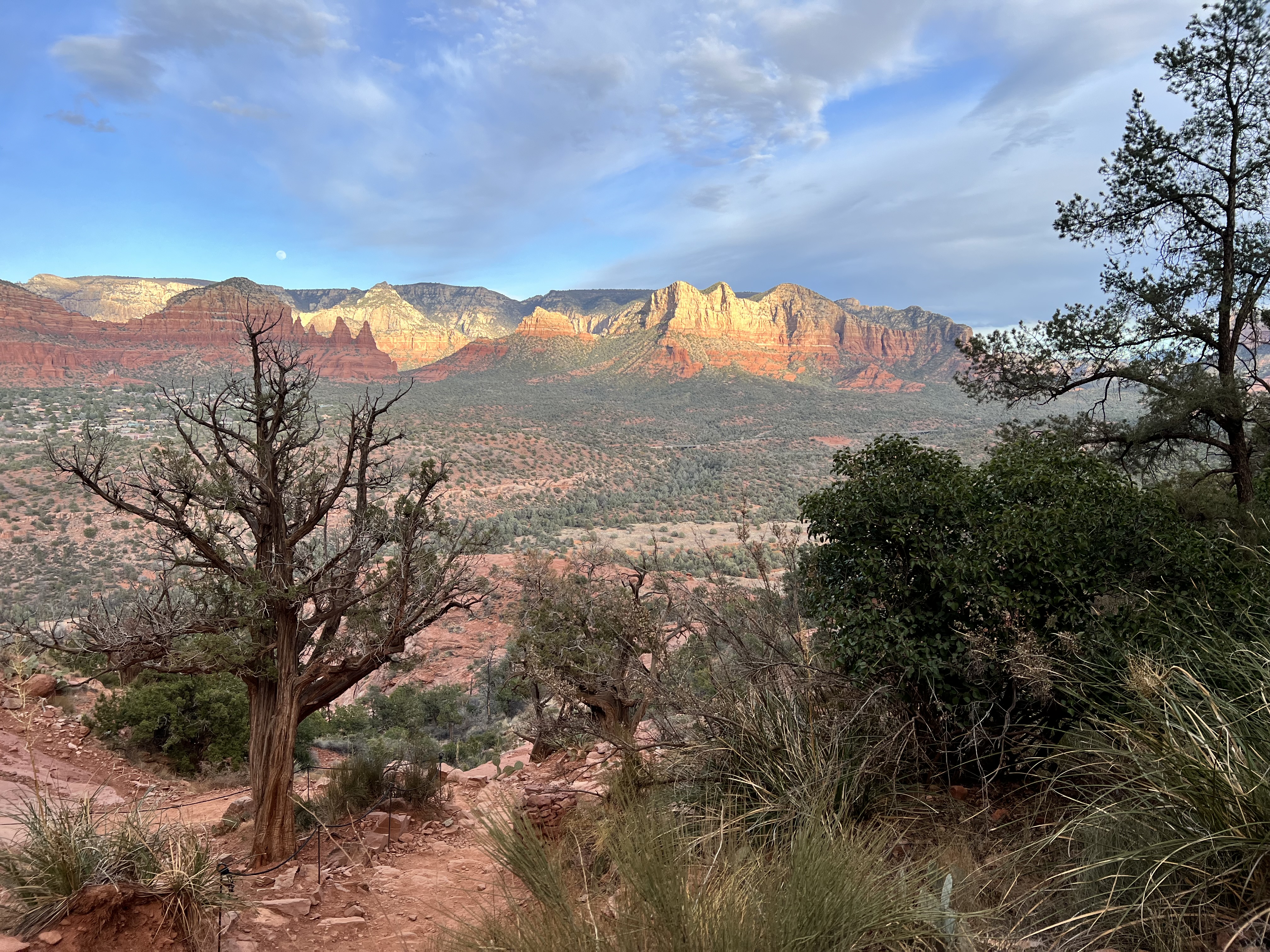 Cathedral Rock