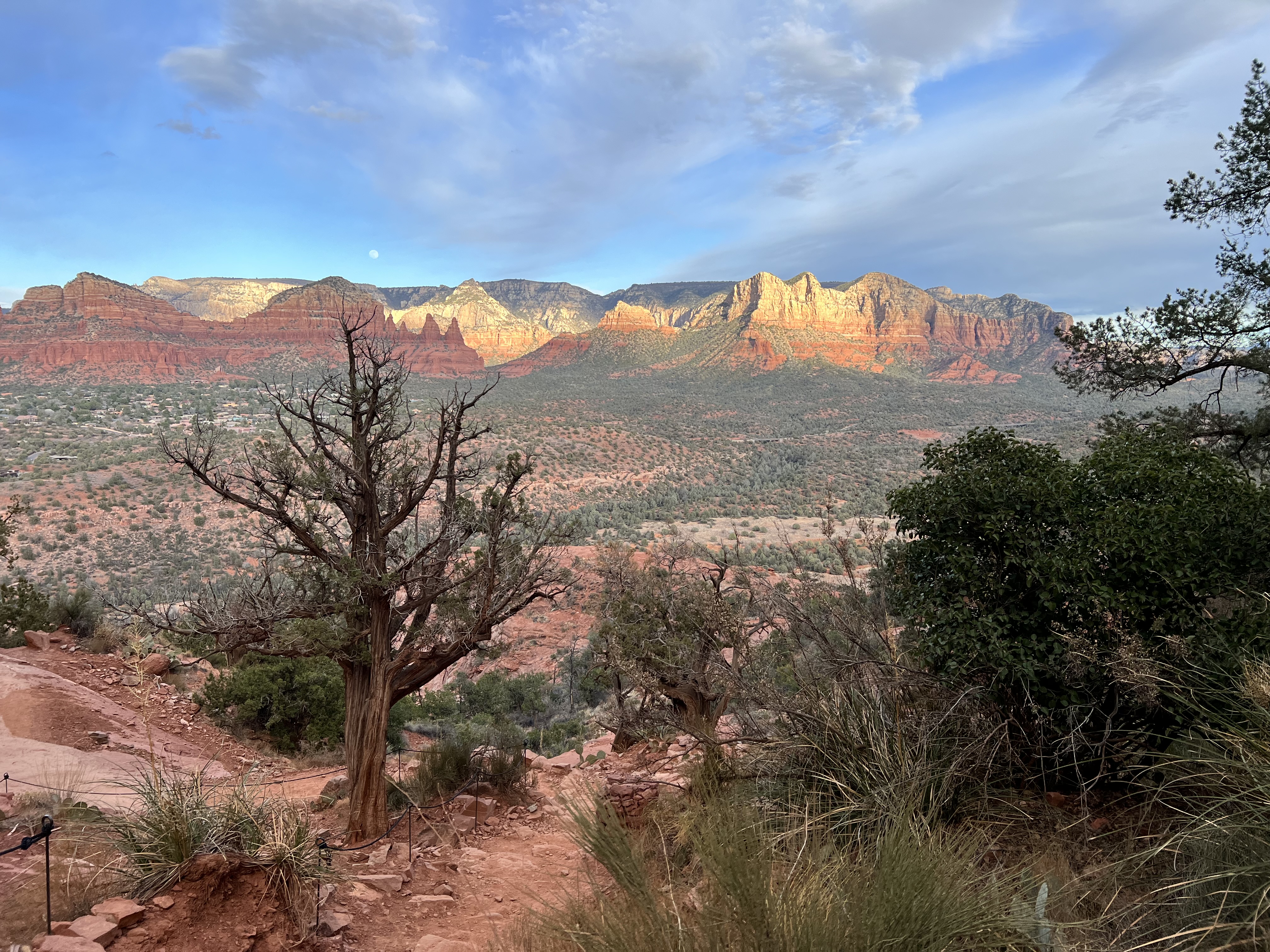 Cathedral Rock