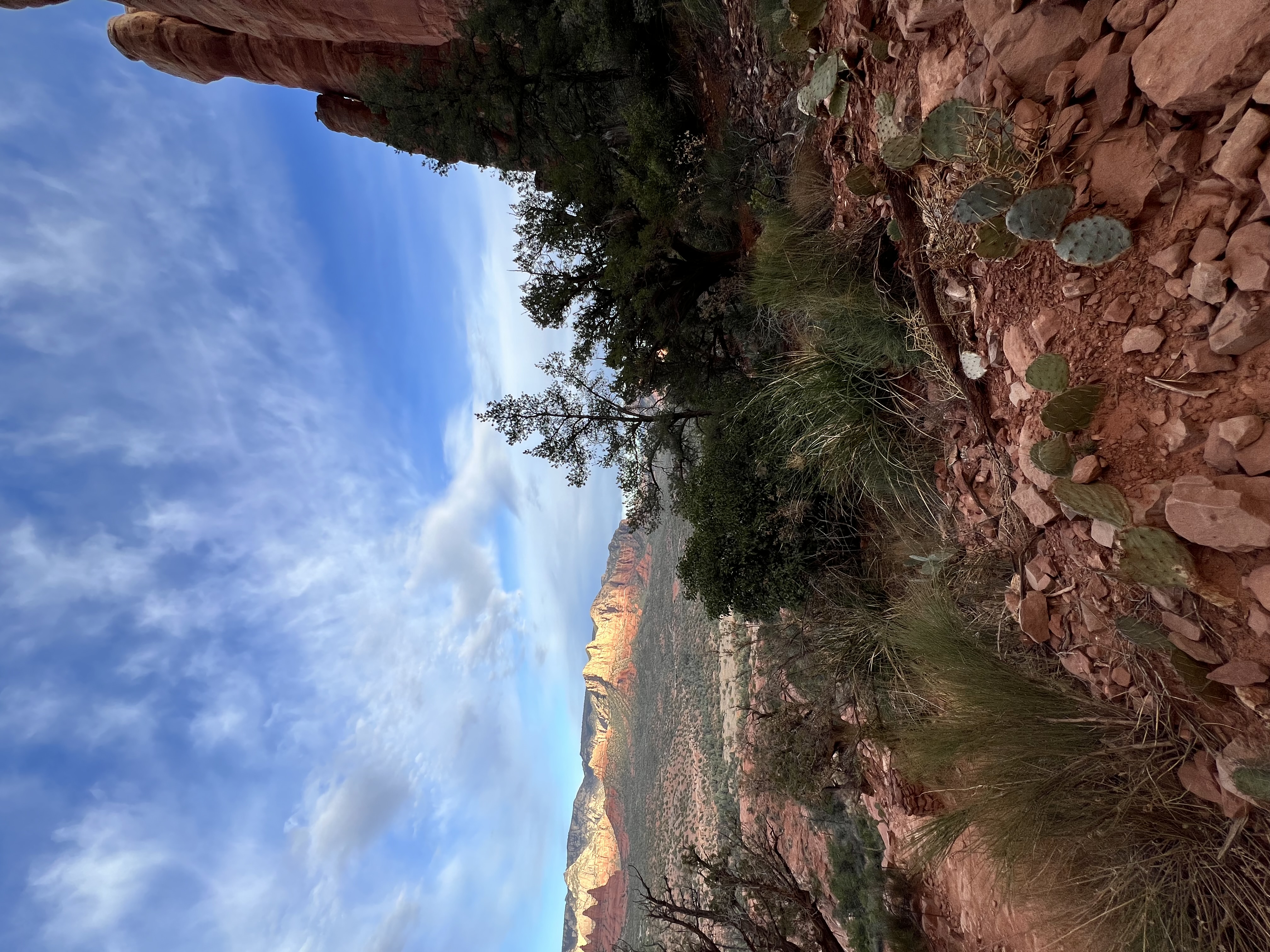Cathedral Rock